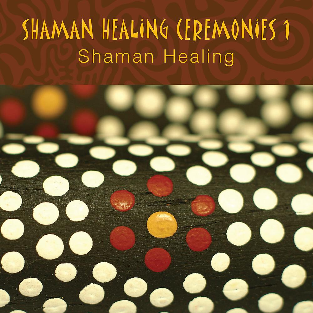 Постер альбома Shaman Healing Ceremonies, Pt. 1