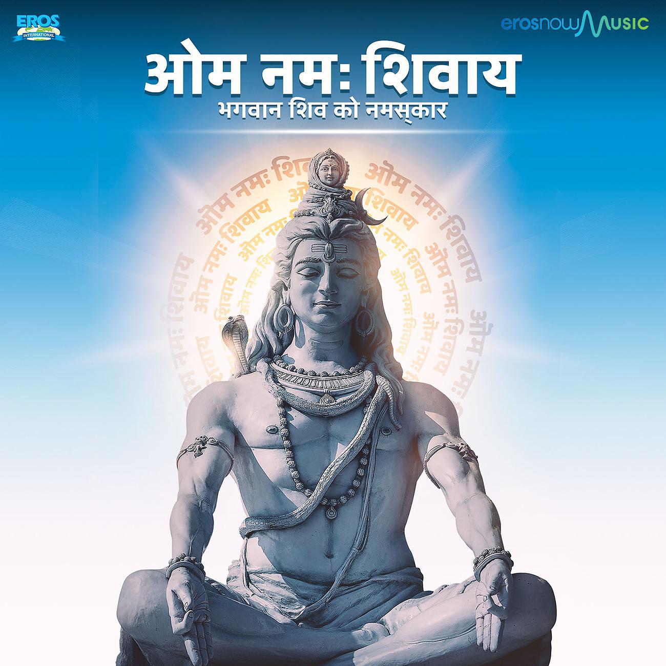Постер альбома Om Namah Shivay - Single