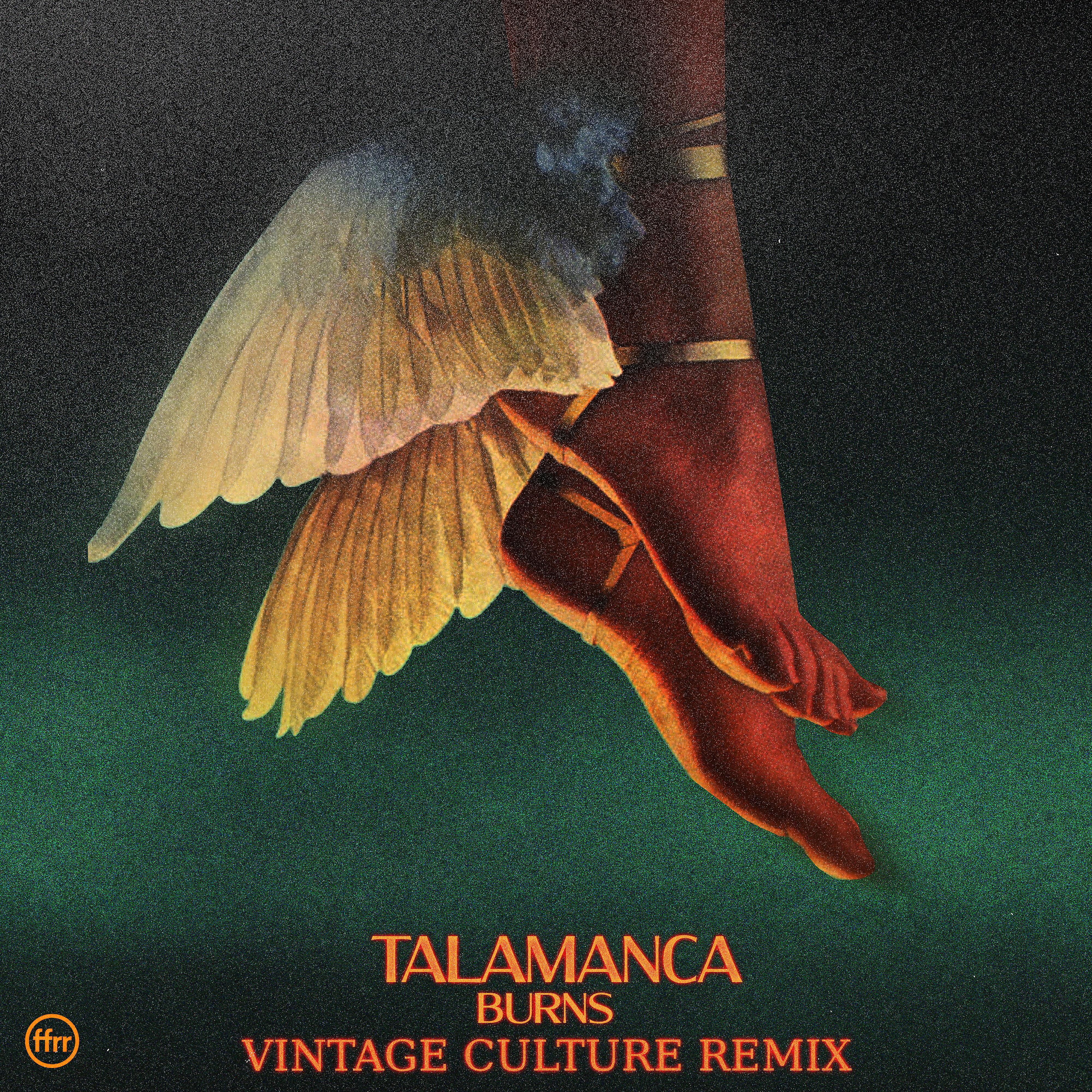 Постер альбома Talamanca (Vintage Culture Remix)