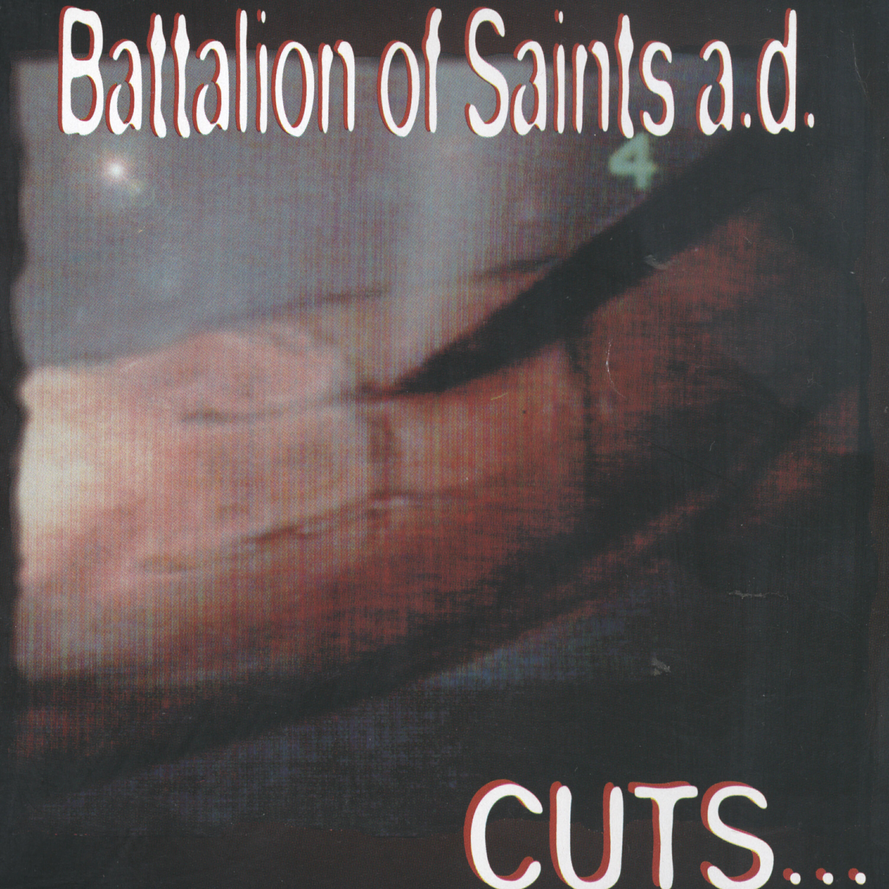 Battalion Of Saints - Freedom