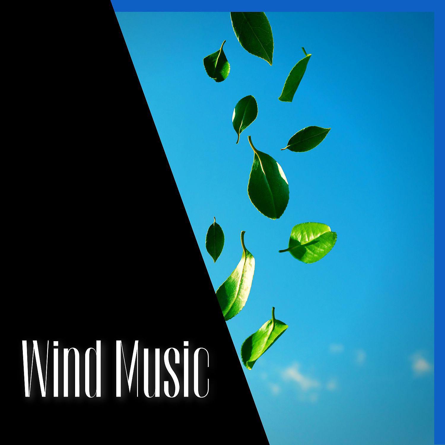 Постер альбома Wind Music, Natural Remedy, Sleep Well and Relax