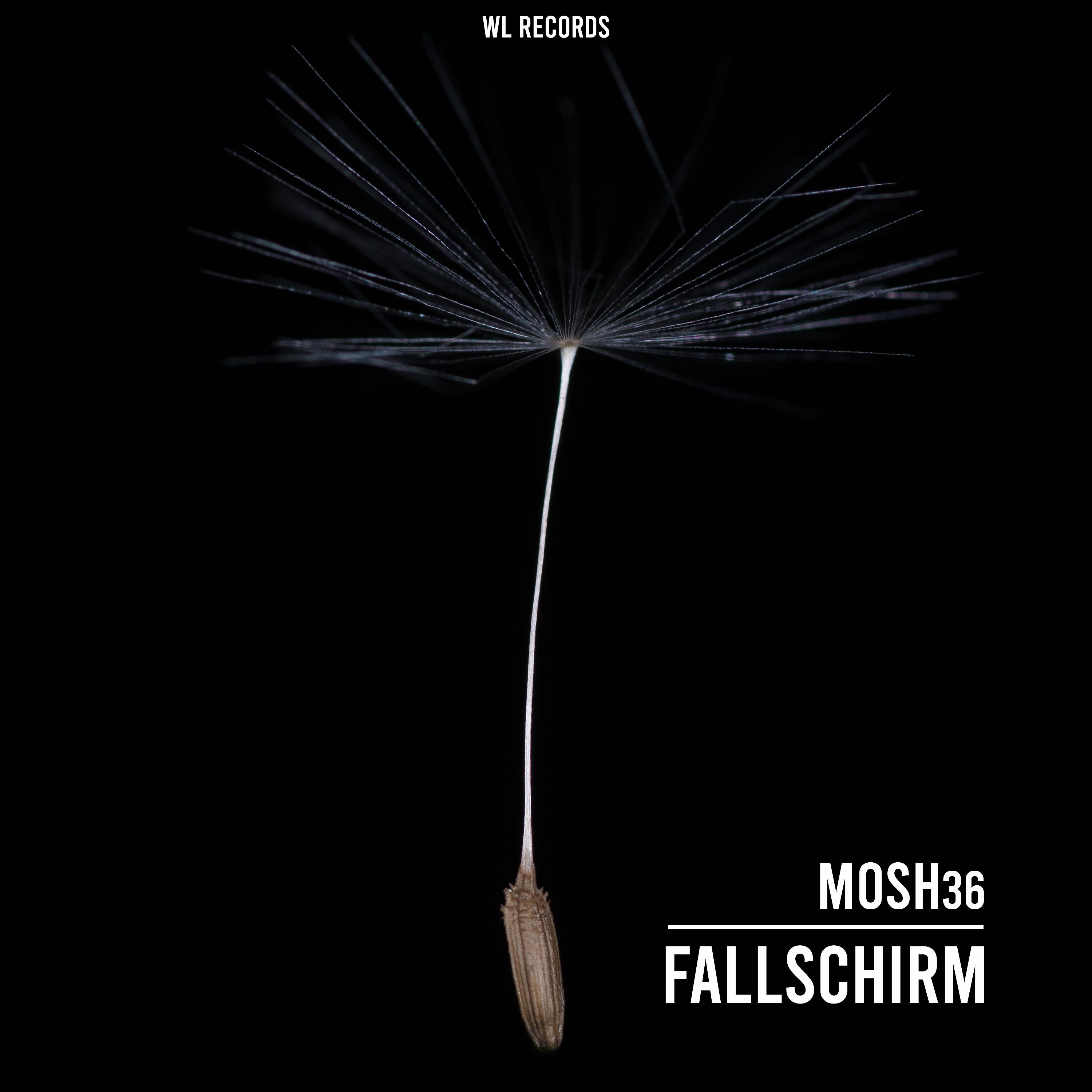 Постер альбома Fallschirm