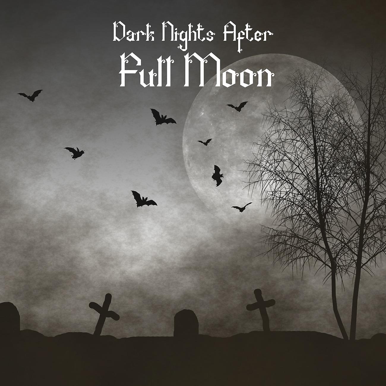 Постер альбома Dark Nights After Full Moon
