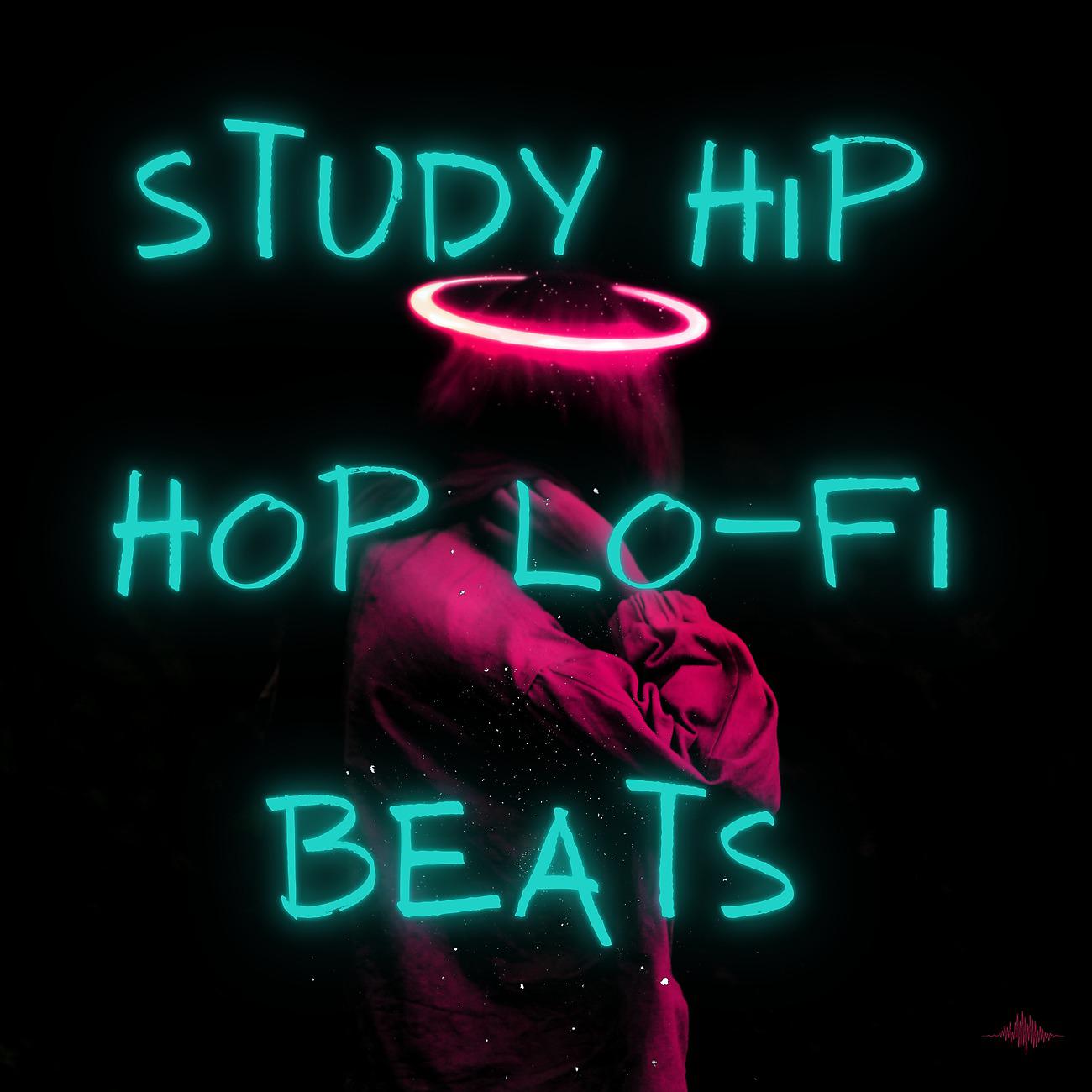 Постер альбома Study Hip Hop Lo-Fi Beats