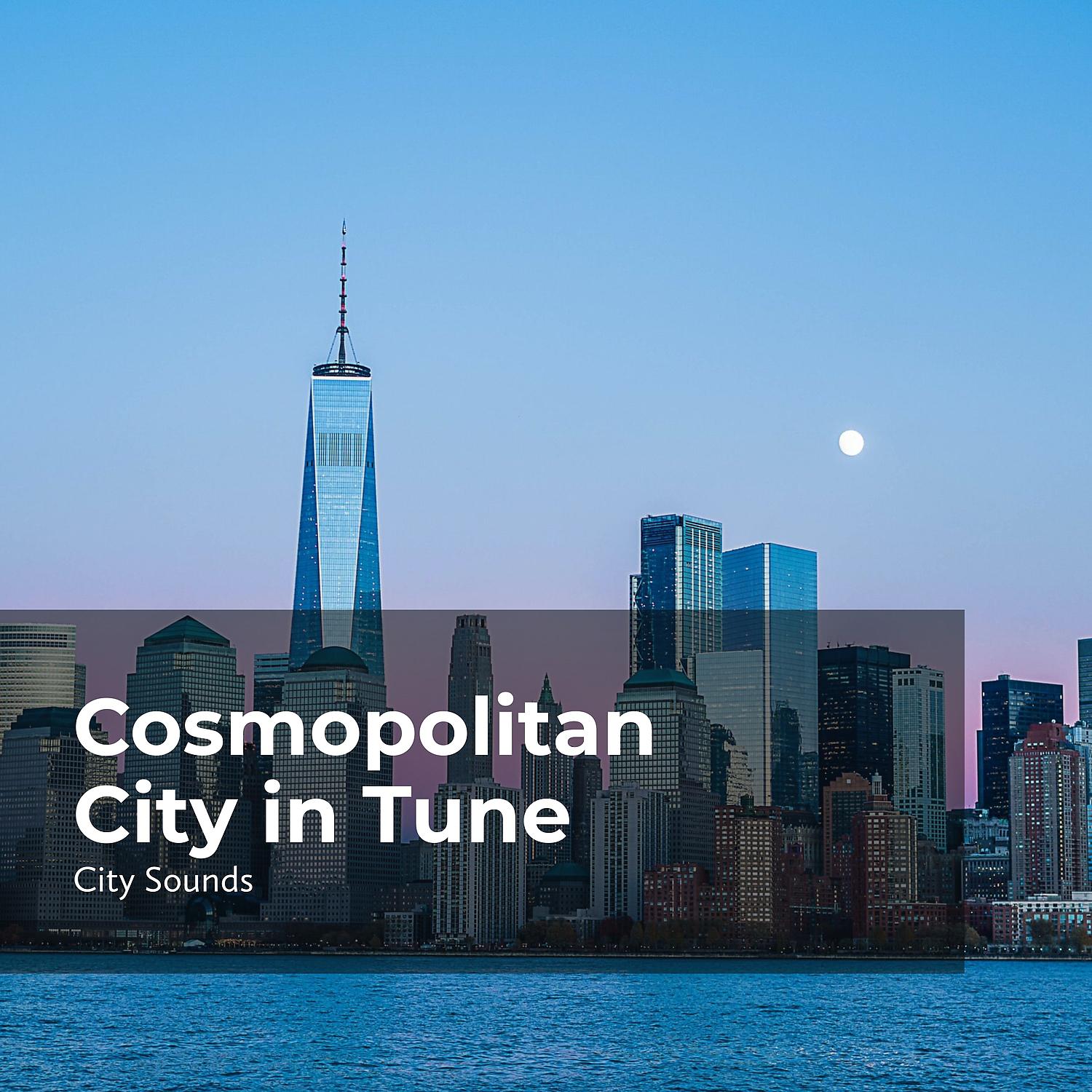 Постер альбома Cosmopolitan City in Tune