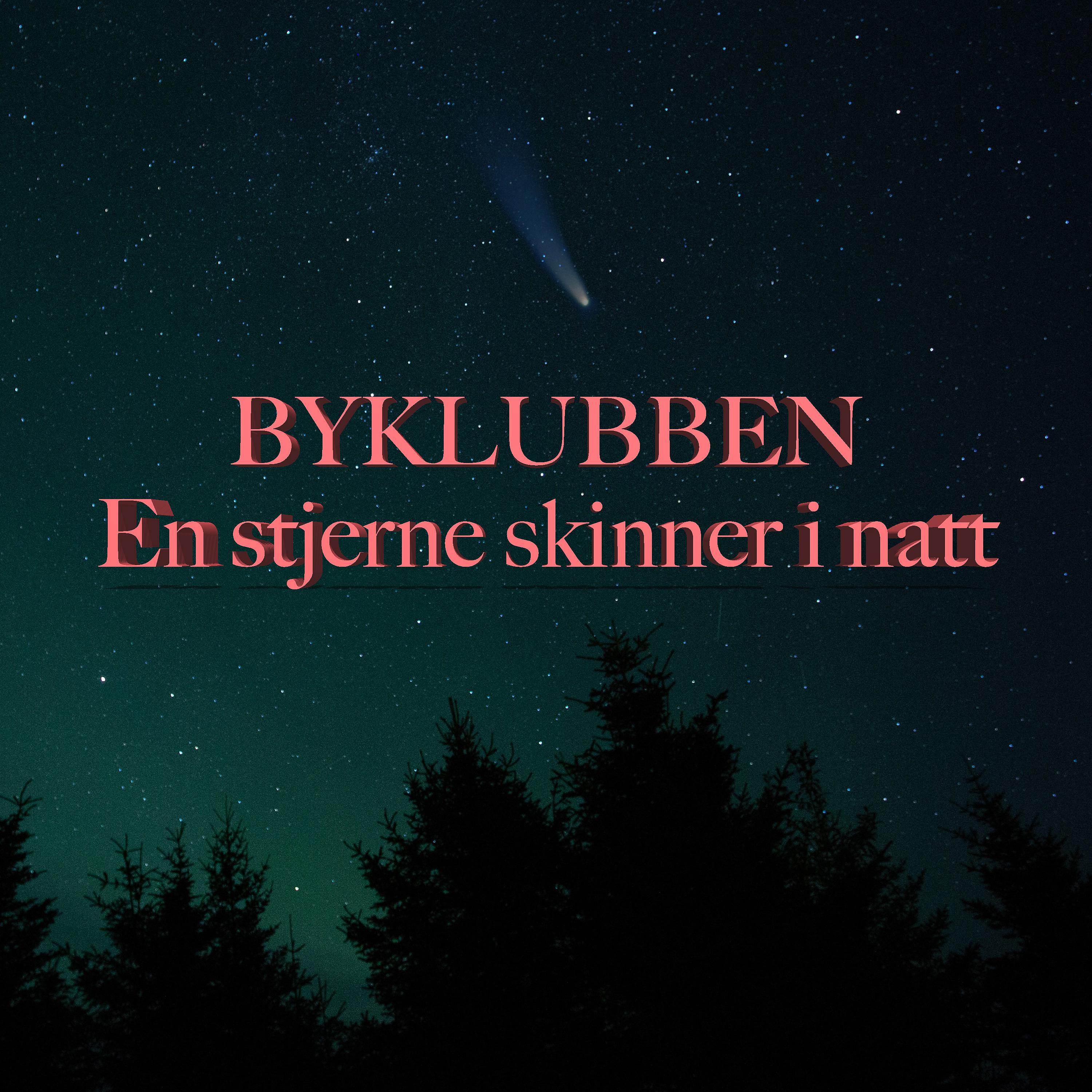 Постер альбома En stjerne skinner i natt