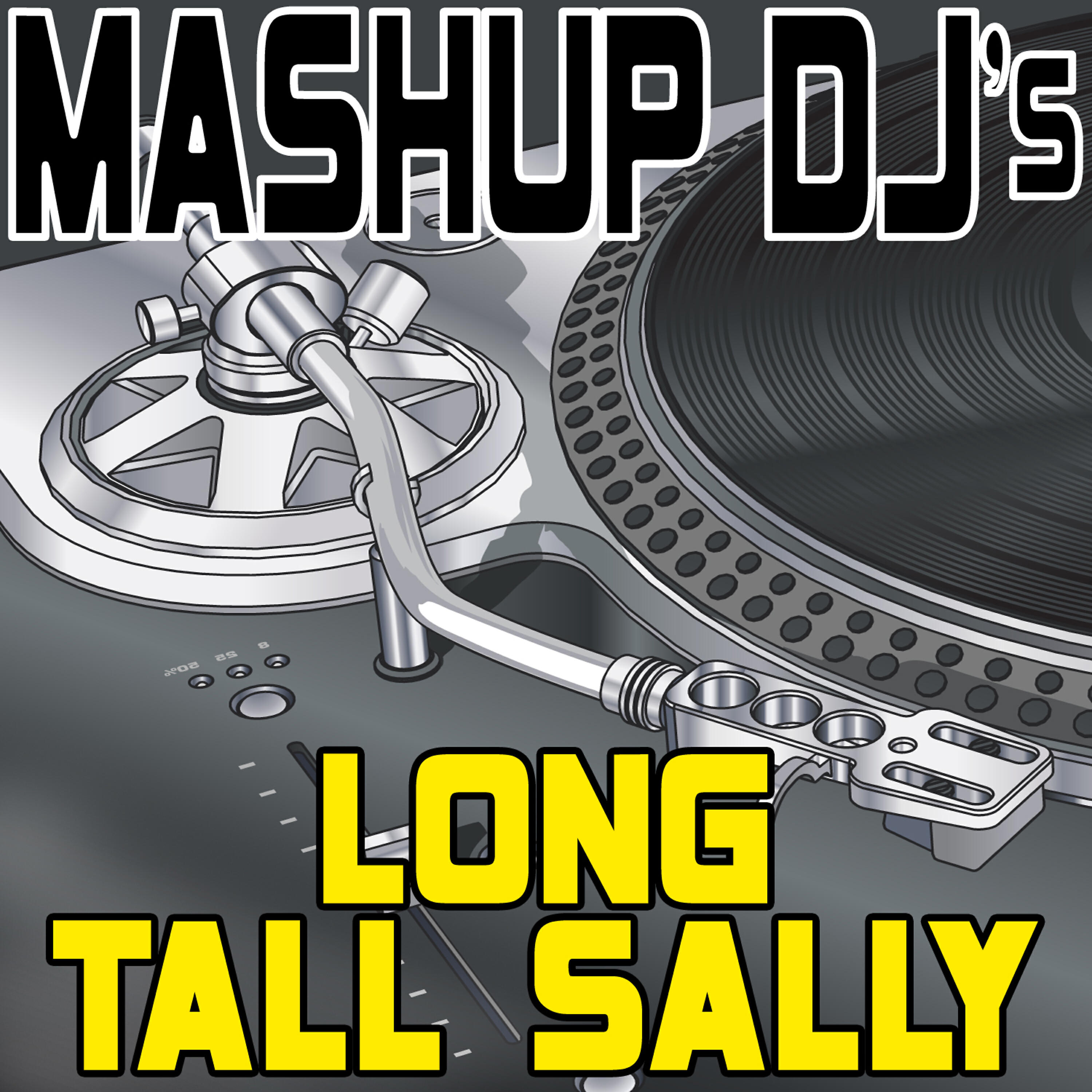 Mashup DJ's - Long Tall Sally (Instrumental Mix) [Re-Mix Tool]