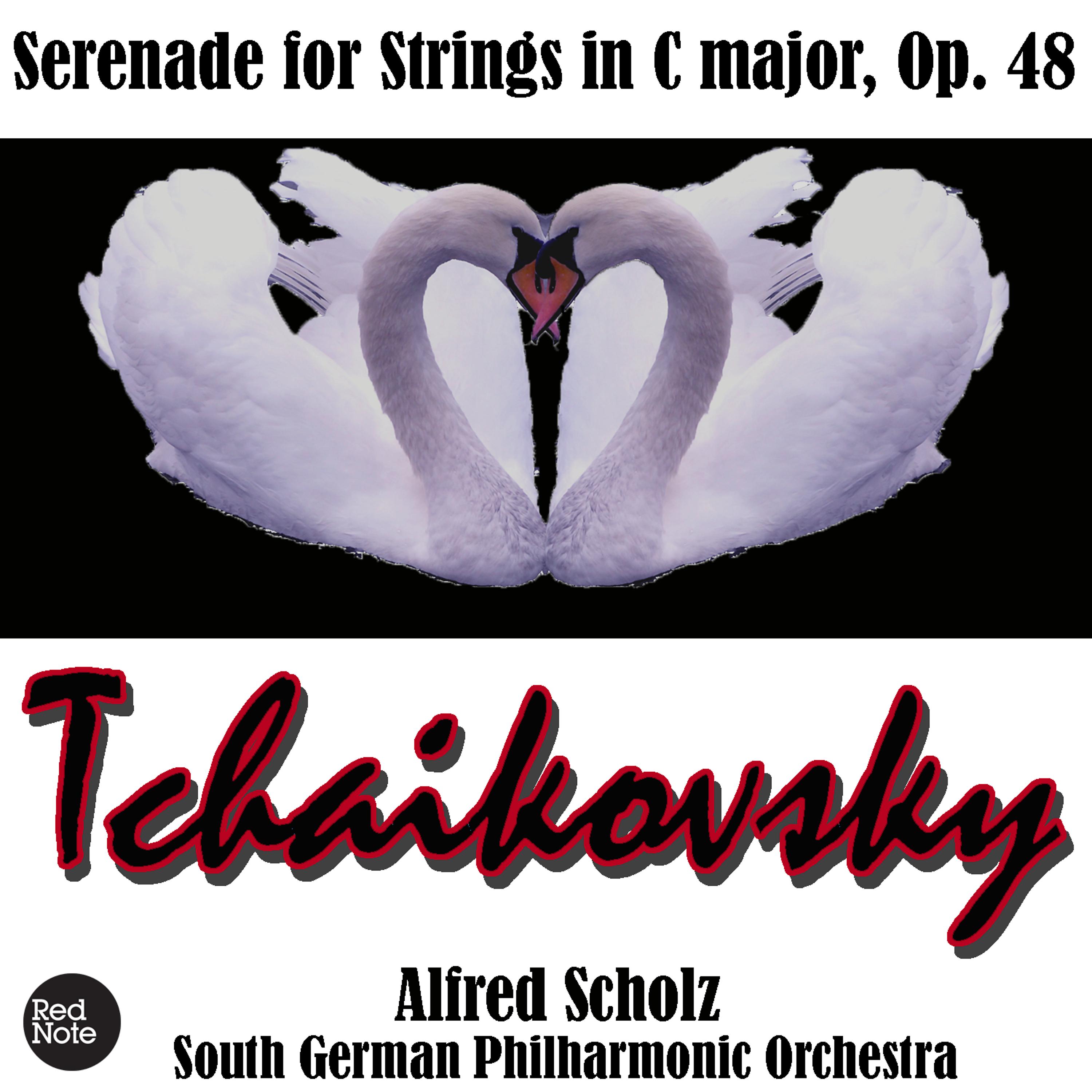 South German Philharmonic Orchestra - Serenade for Strings in C major, Op. 48: IV. Tema russo