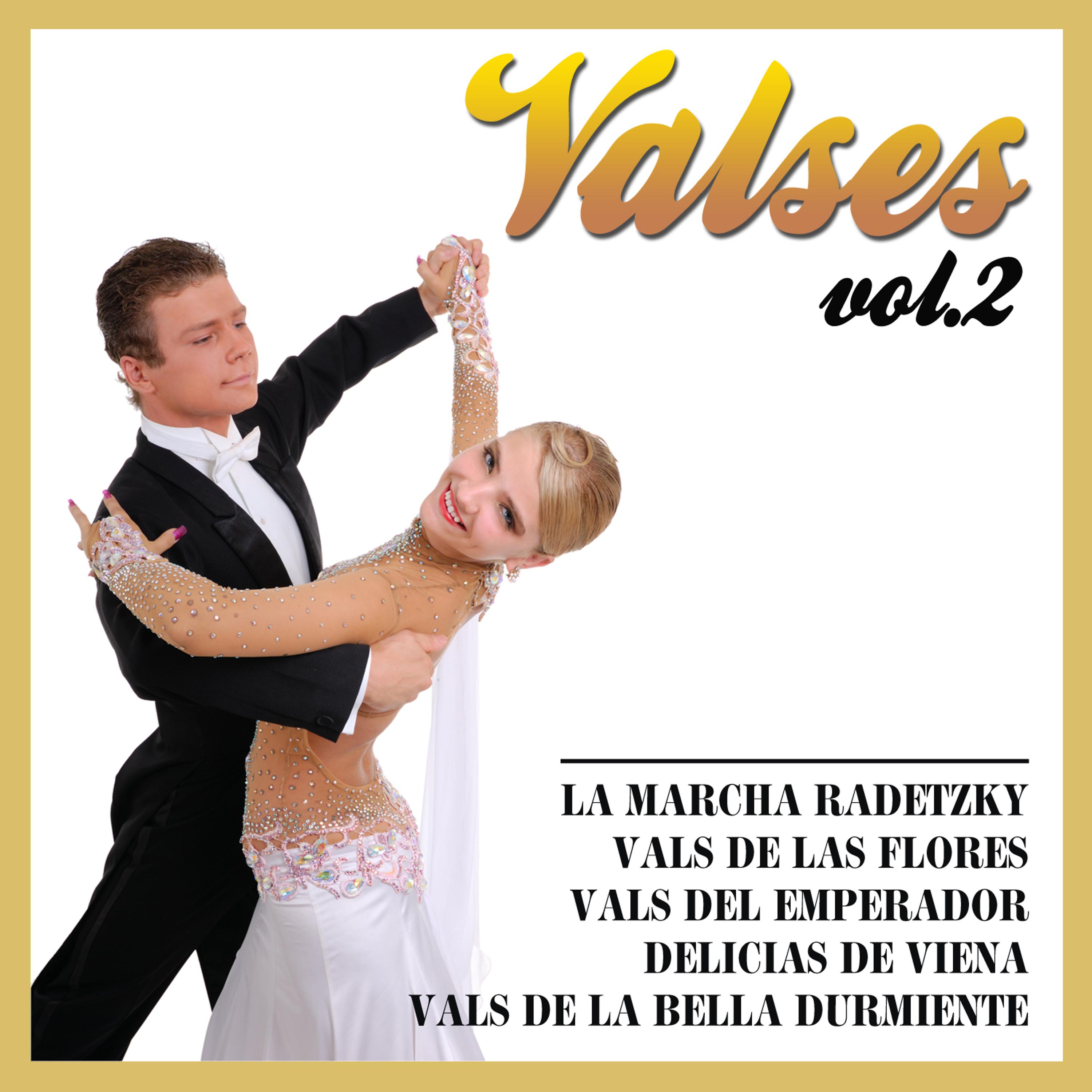 Постер альбома Valses  Vol. 2