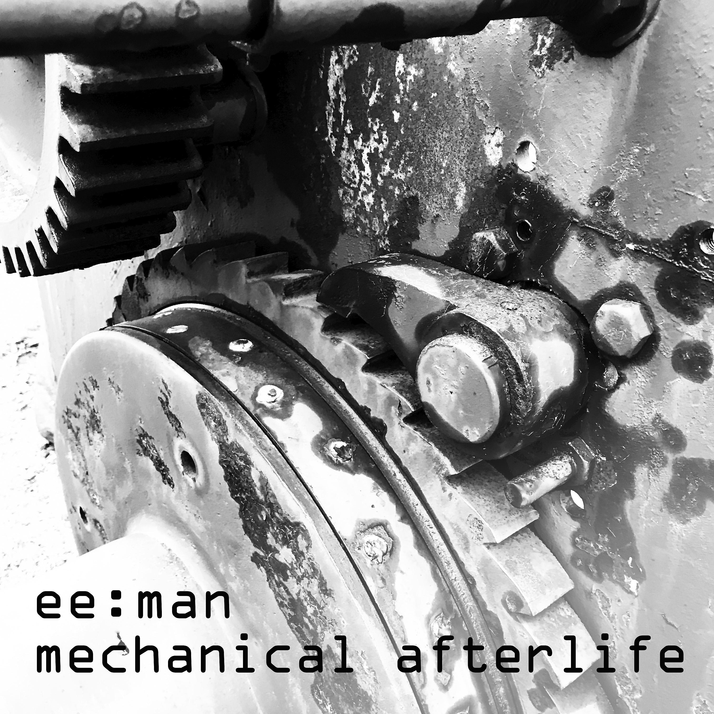 Постер альбома Mechanical Afterlife
