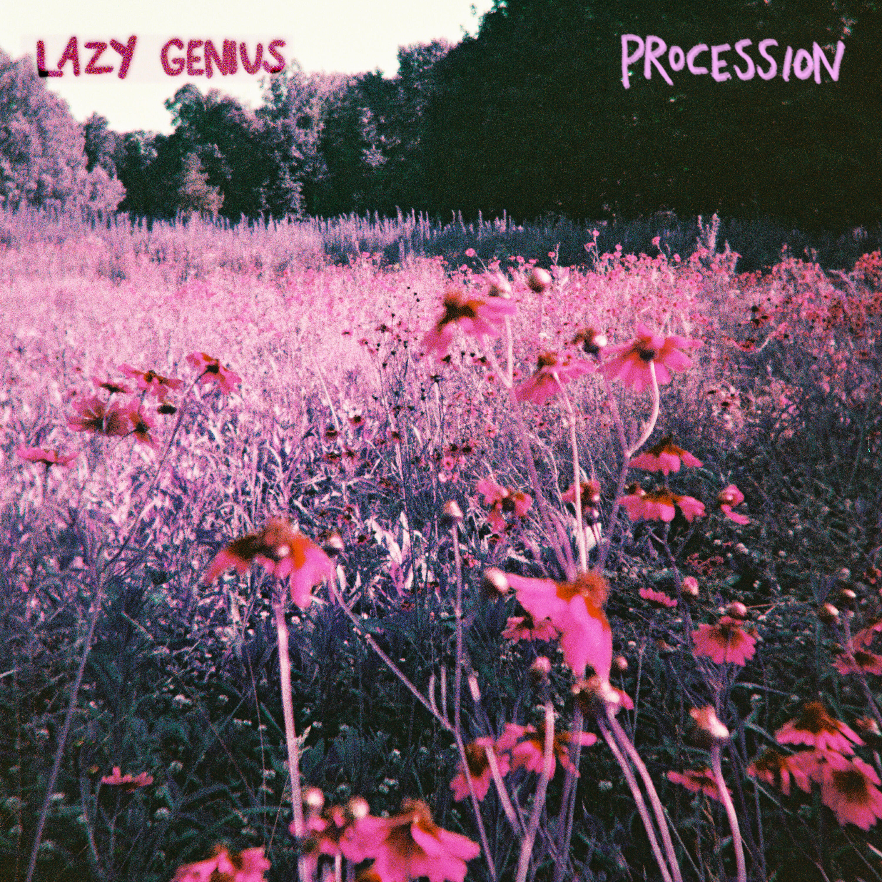 Lazy Genius - Procession
