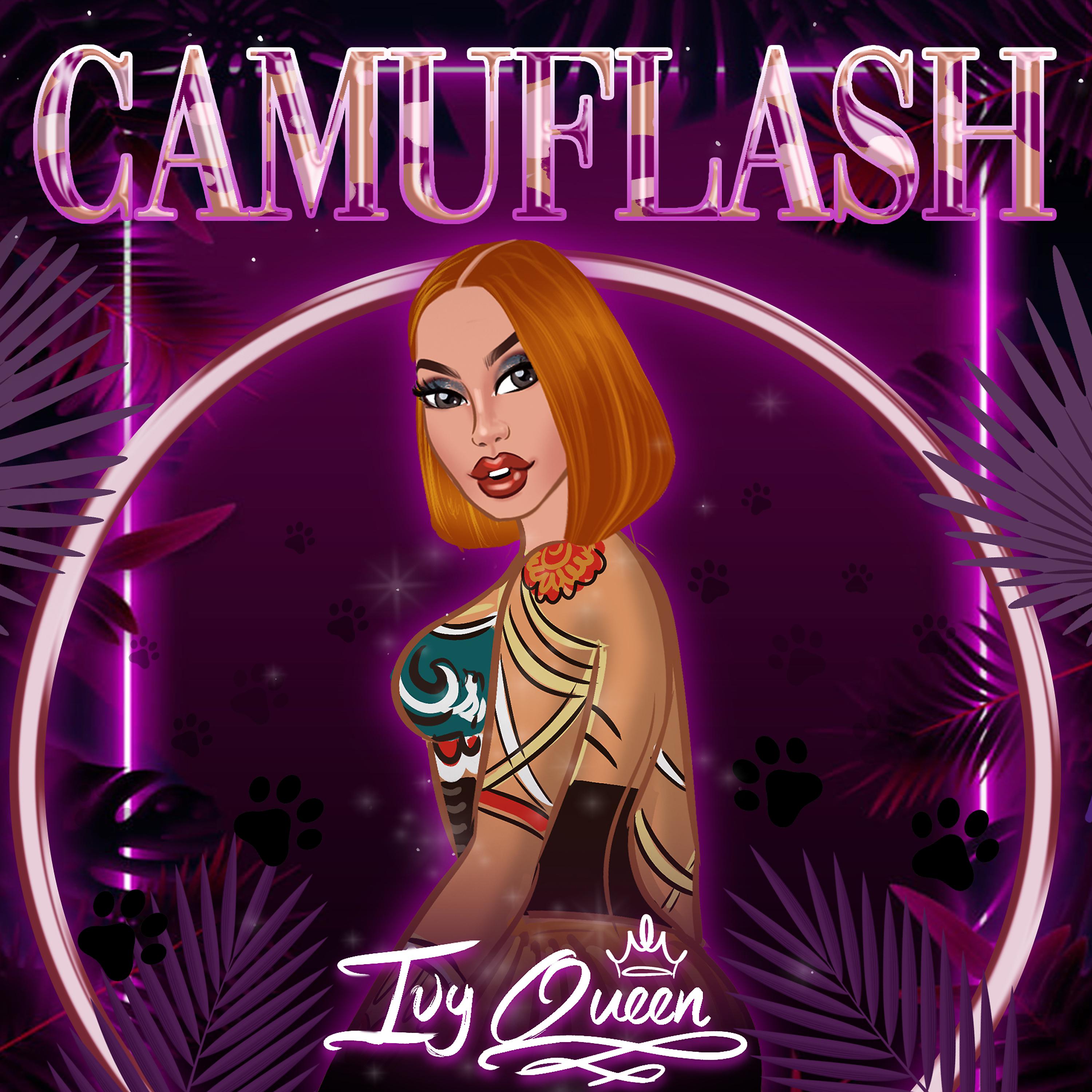 Постер альбома Camuflash