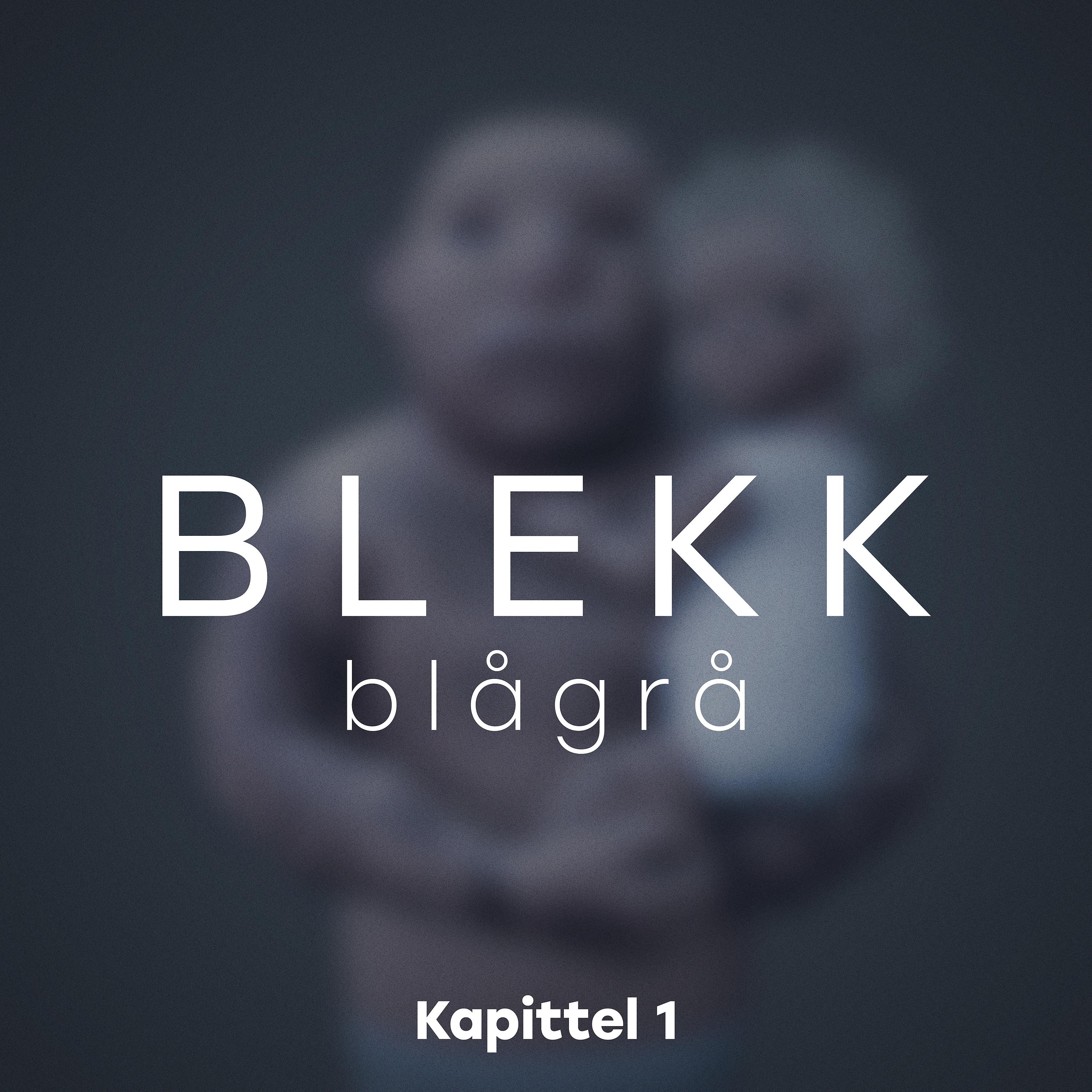 Постер альбома Blågrå - Kapittel 1