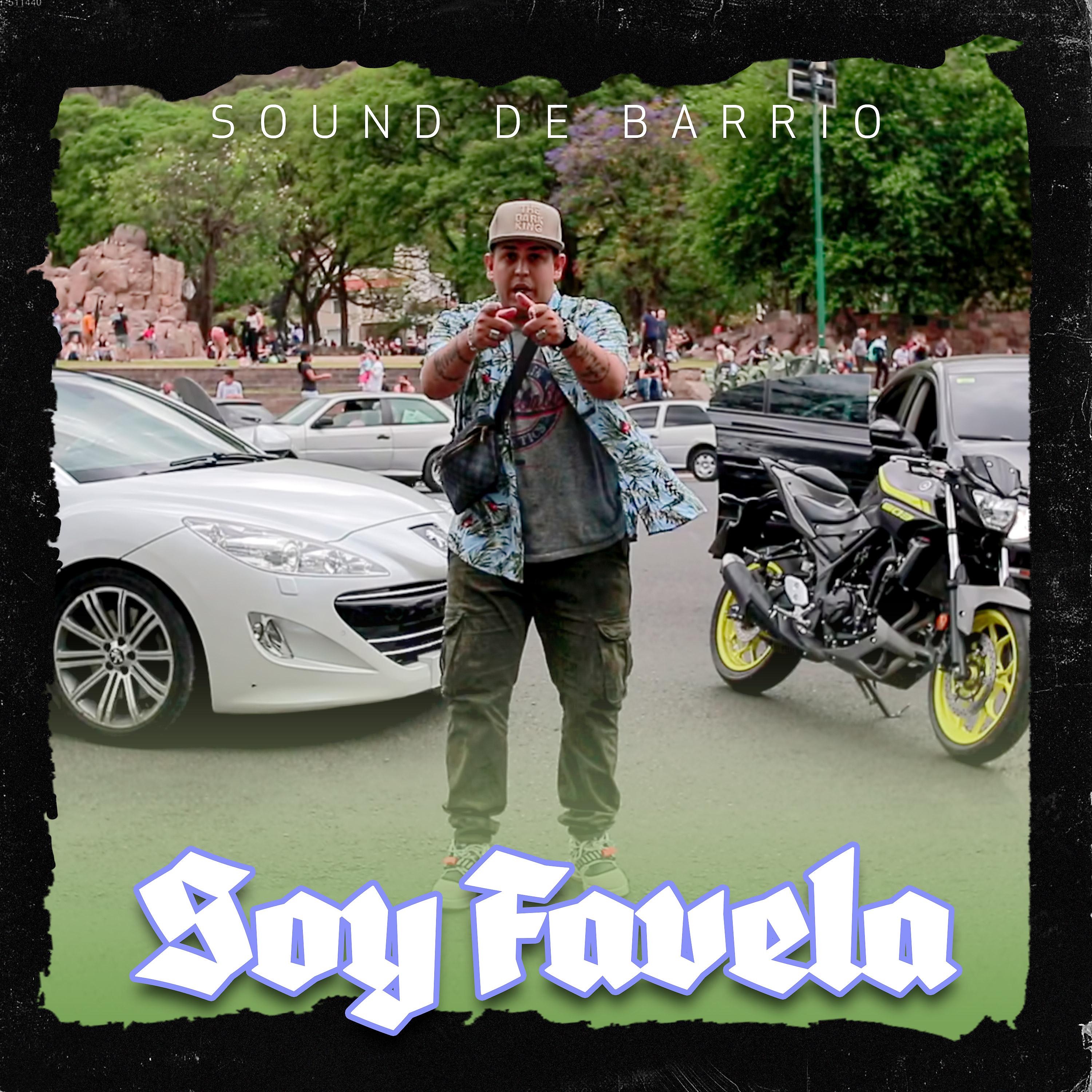 Постер альбома Soy Favela