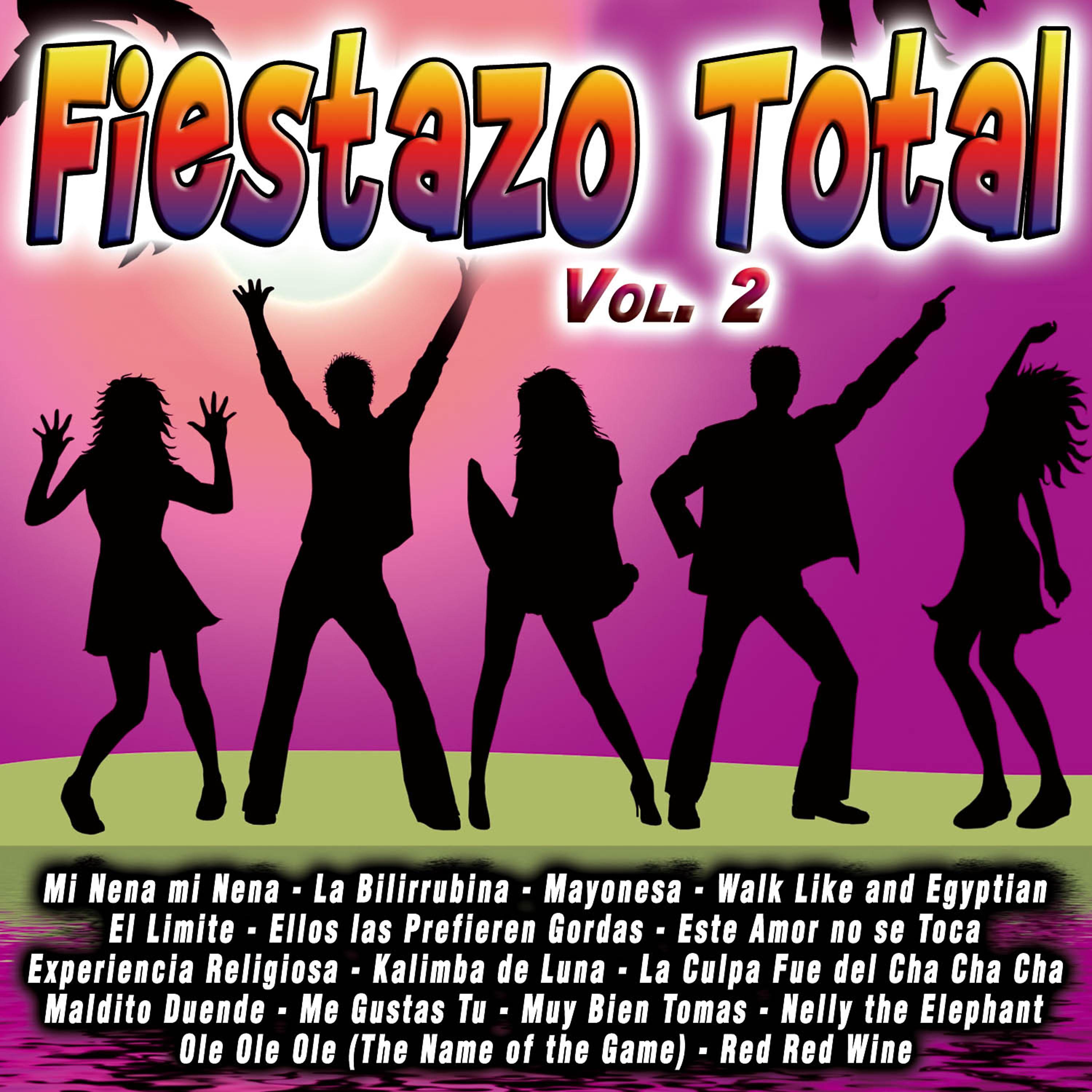 Постер альбома Fiestazo Total Vol.2