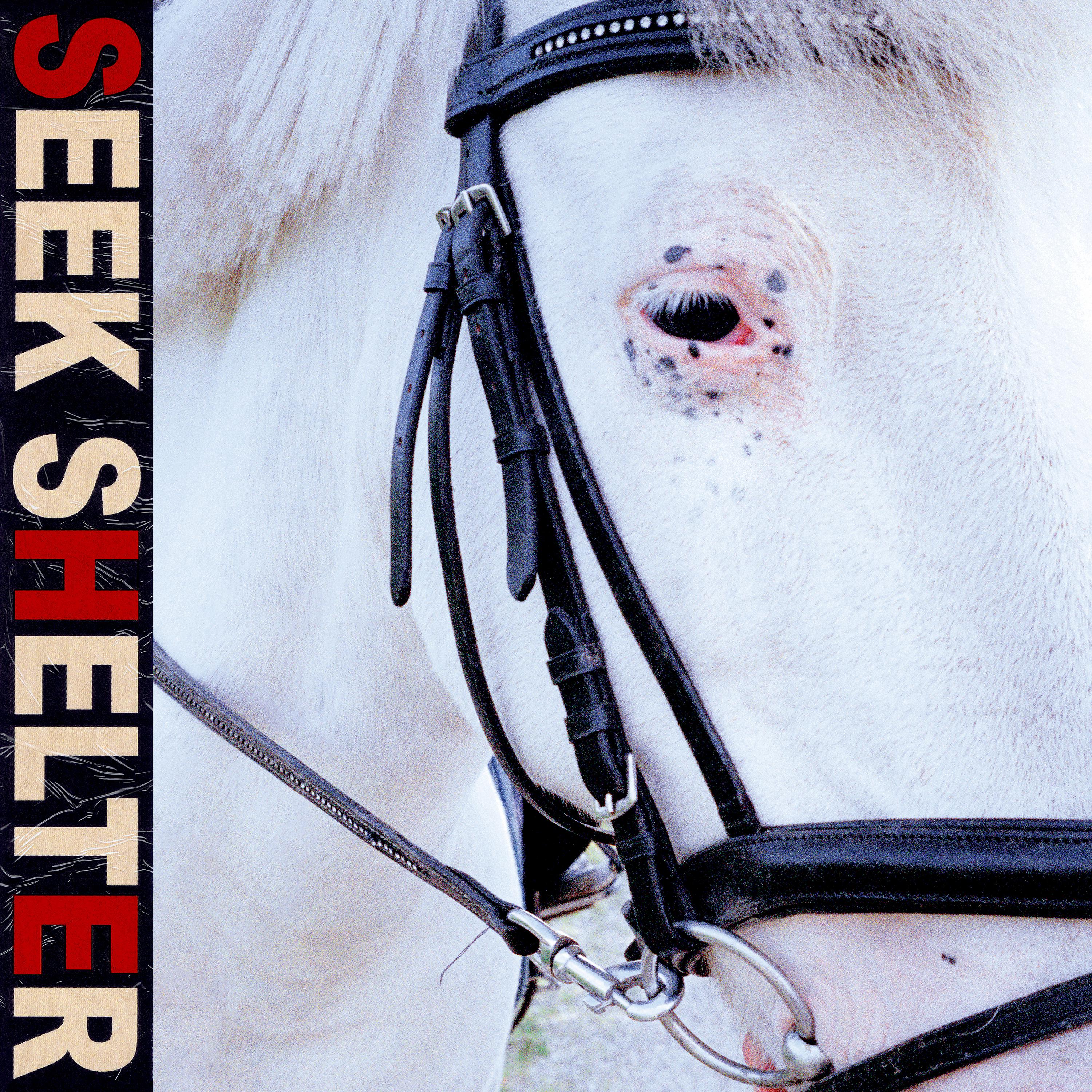 Постер альбома Seek Shelter (Special Edition)