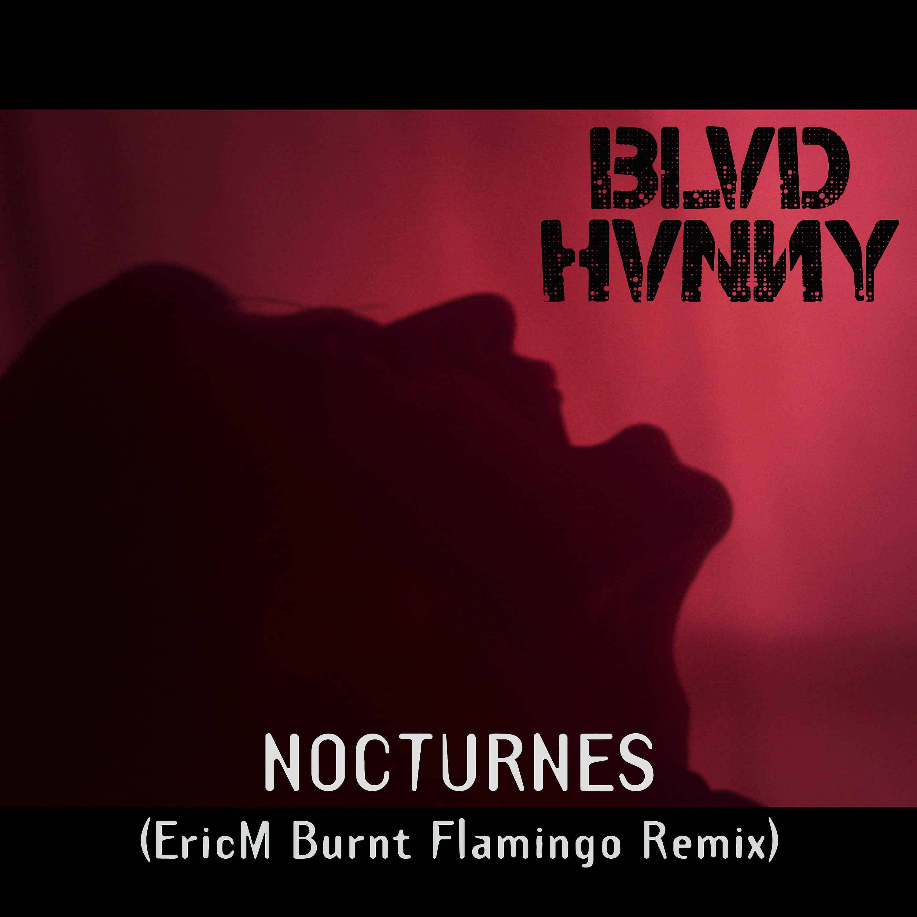 Постер альбома Nocturnes (EricM Burnt Flamingo Remix)