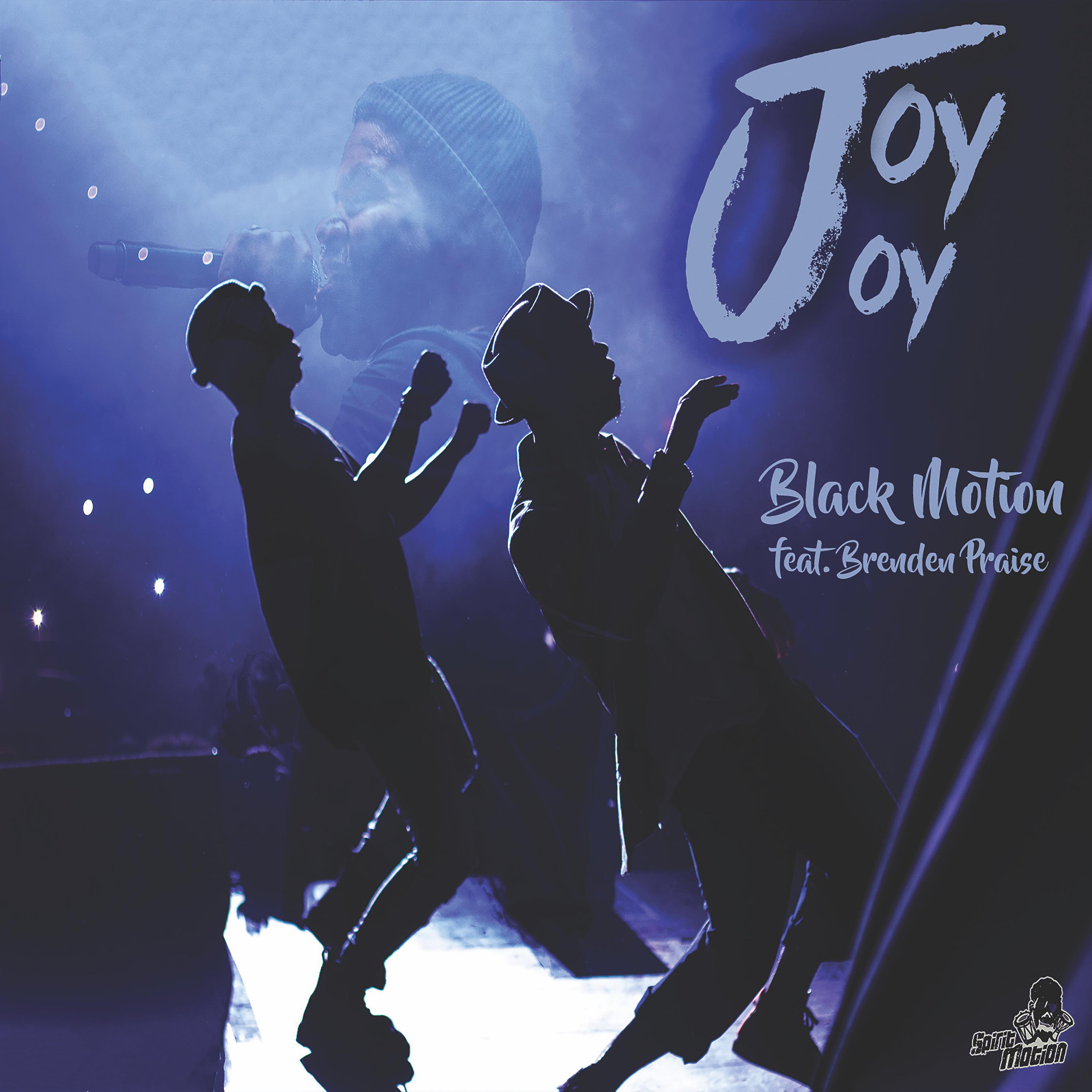 Постер альбома Joy Joy