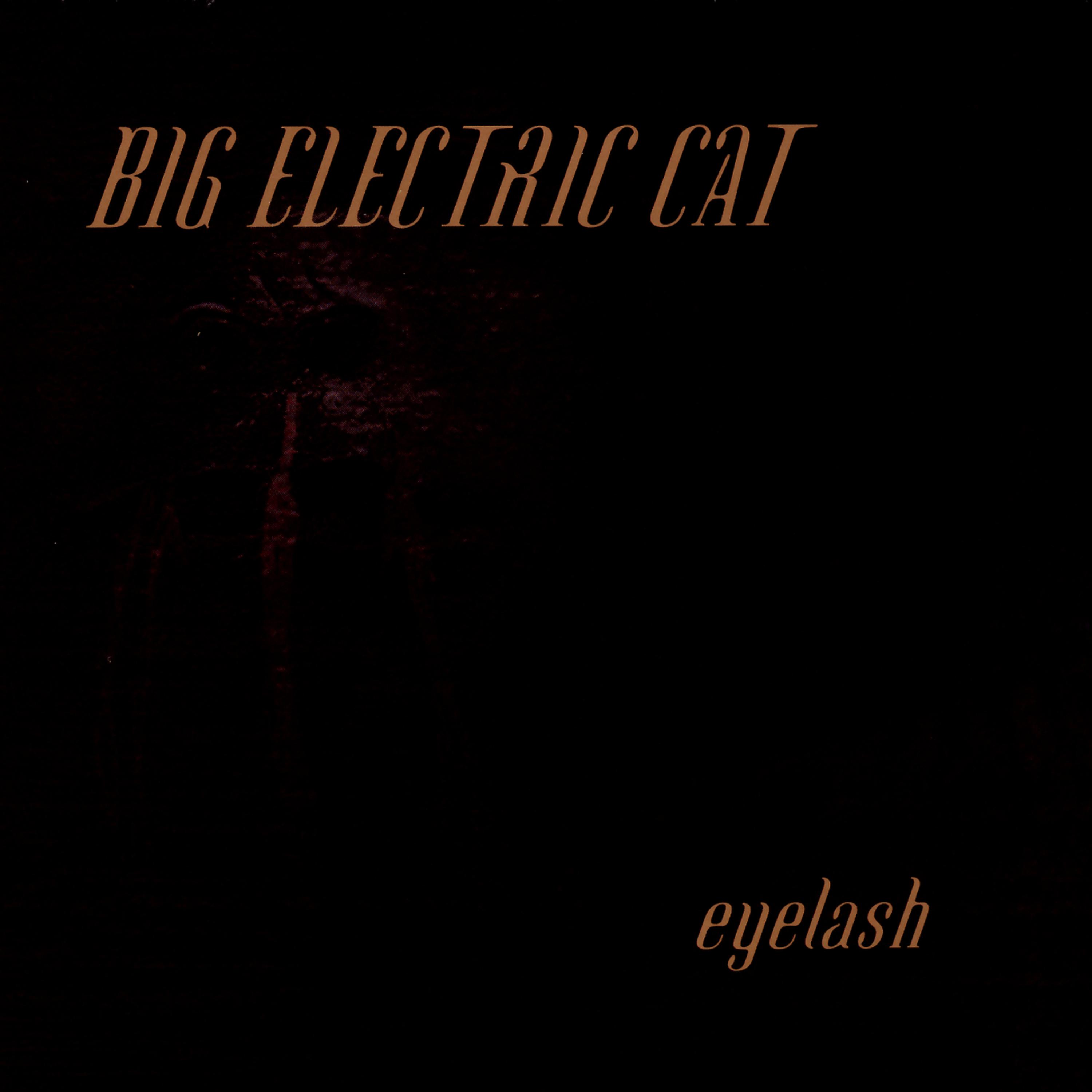 Постер альбома Eyelash
