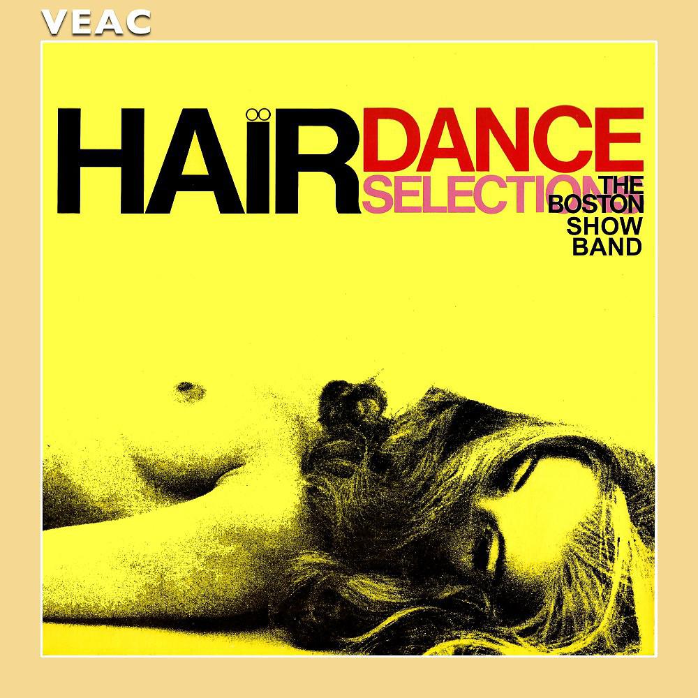 Постер альбома Hair Dance-Selections