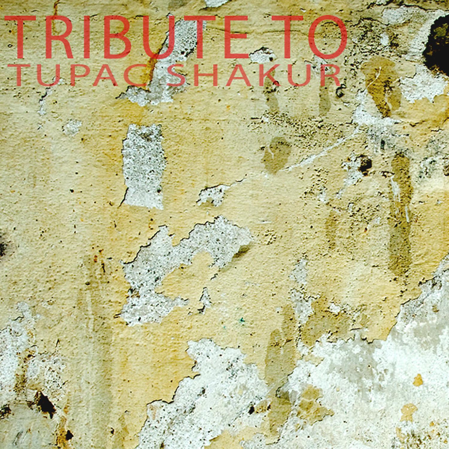 Постер альбома Tribute To Tupac Shakur