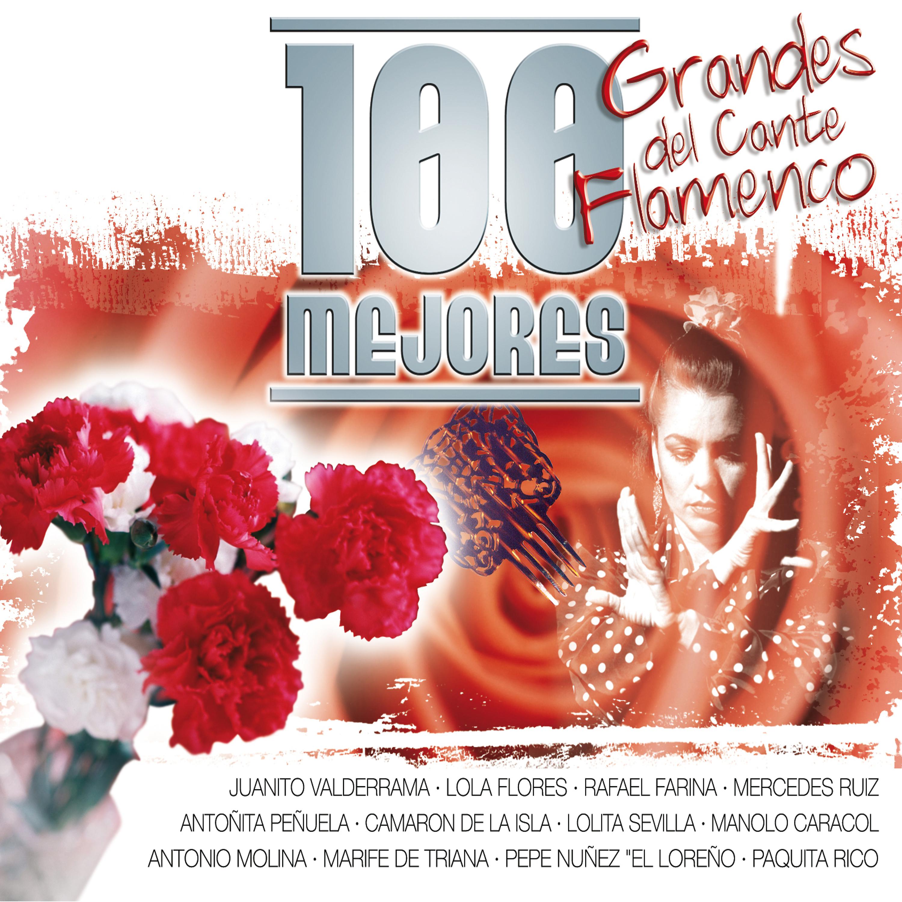 Постер альбома Las 100 Grandes del Cante Flamenco