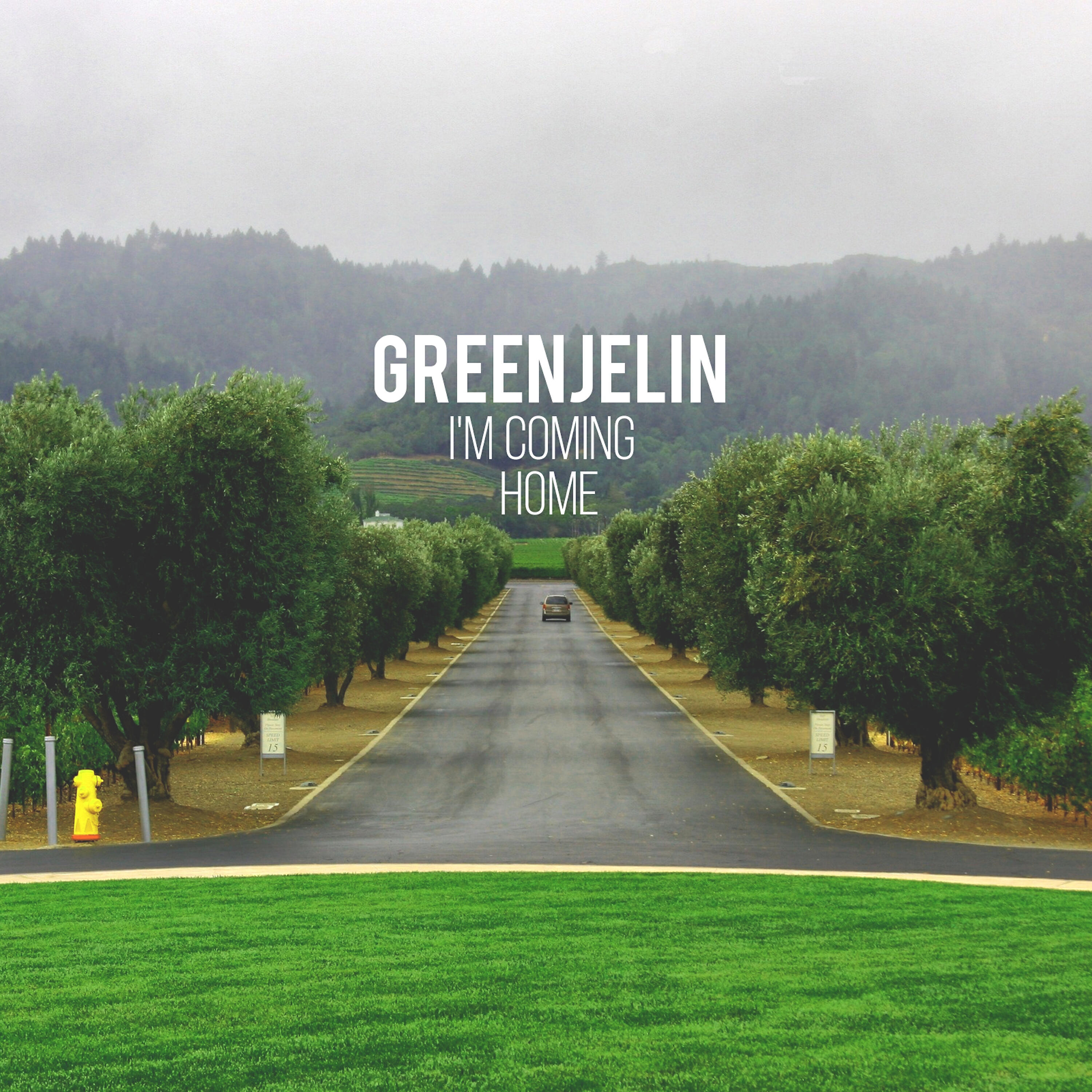 I am coming home now. Greenjelin. Im coming Home. I'M coming. Greenjelin feat. Balance.