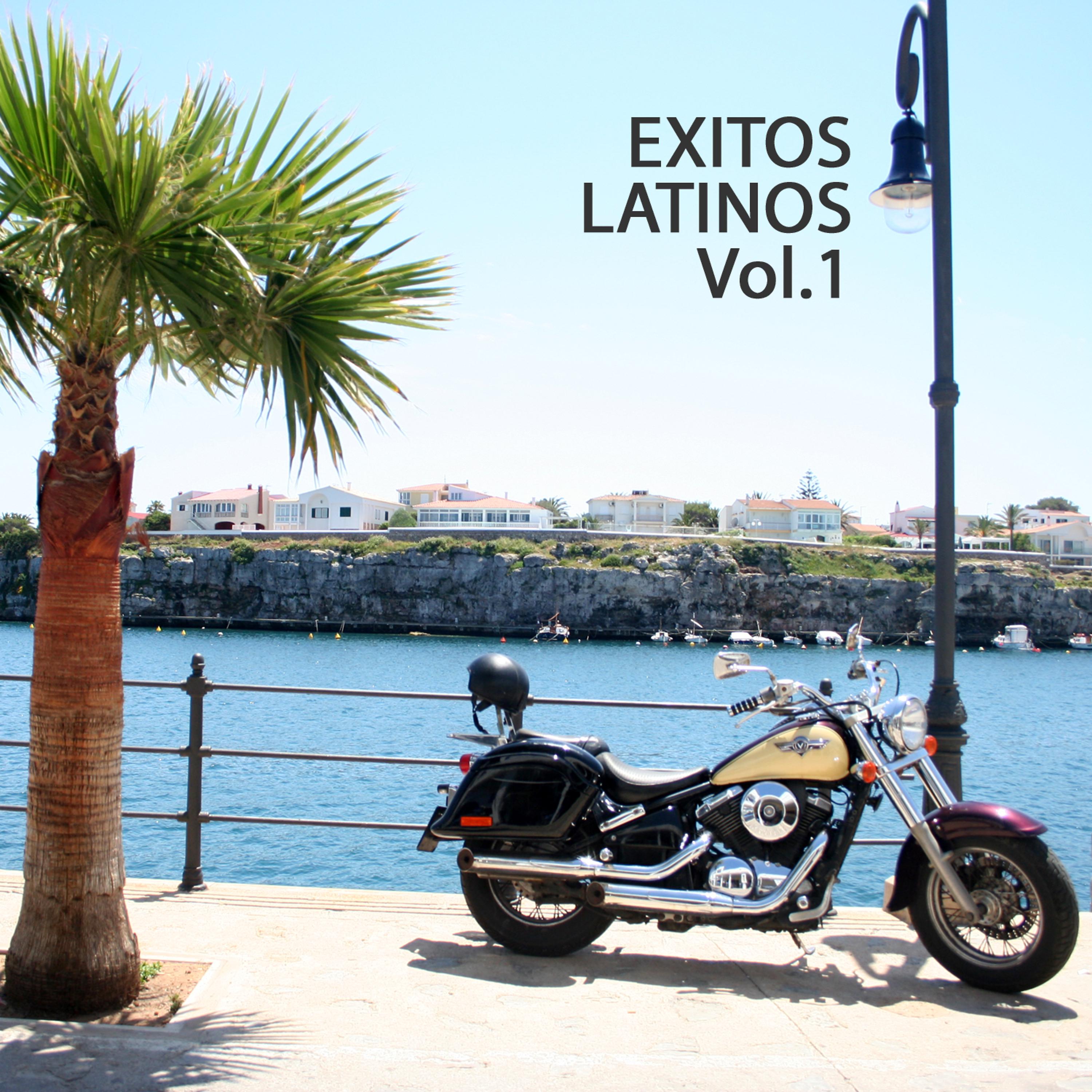 Постер альбома Hits Latinos Vol.1