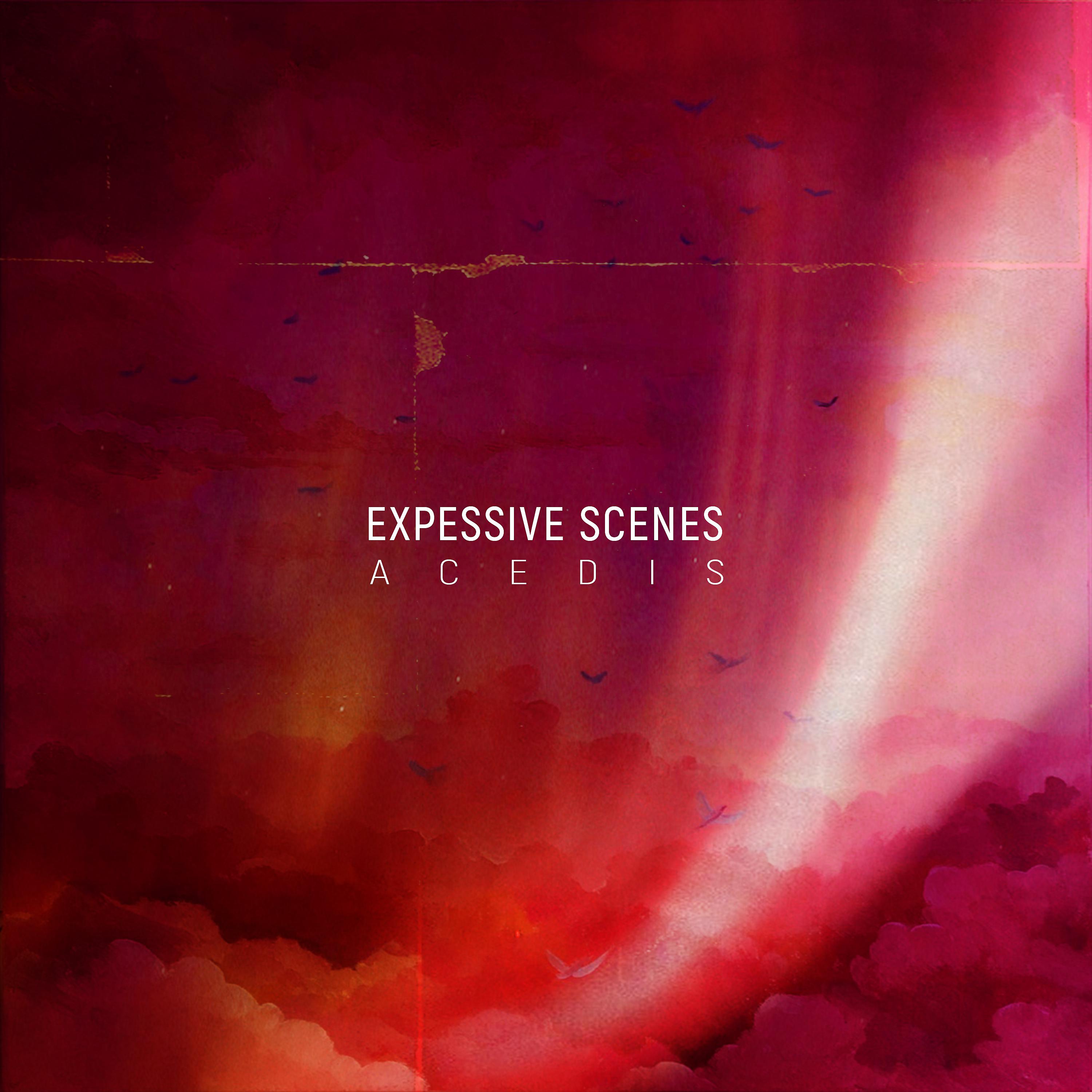 Постер альбома Expressive Scenes