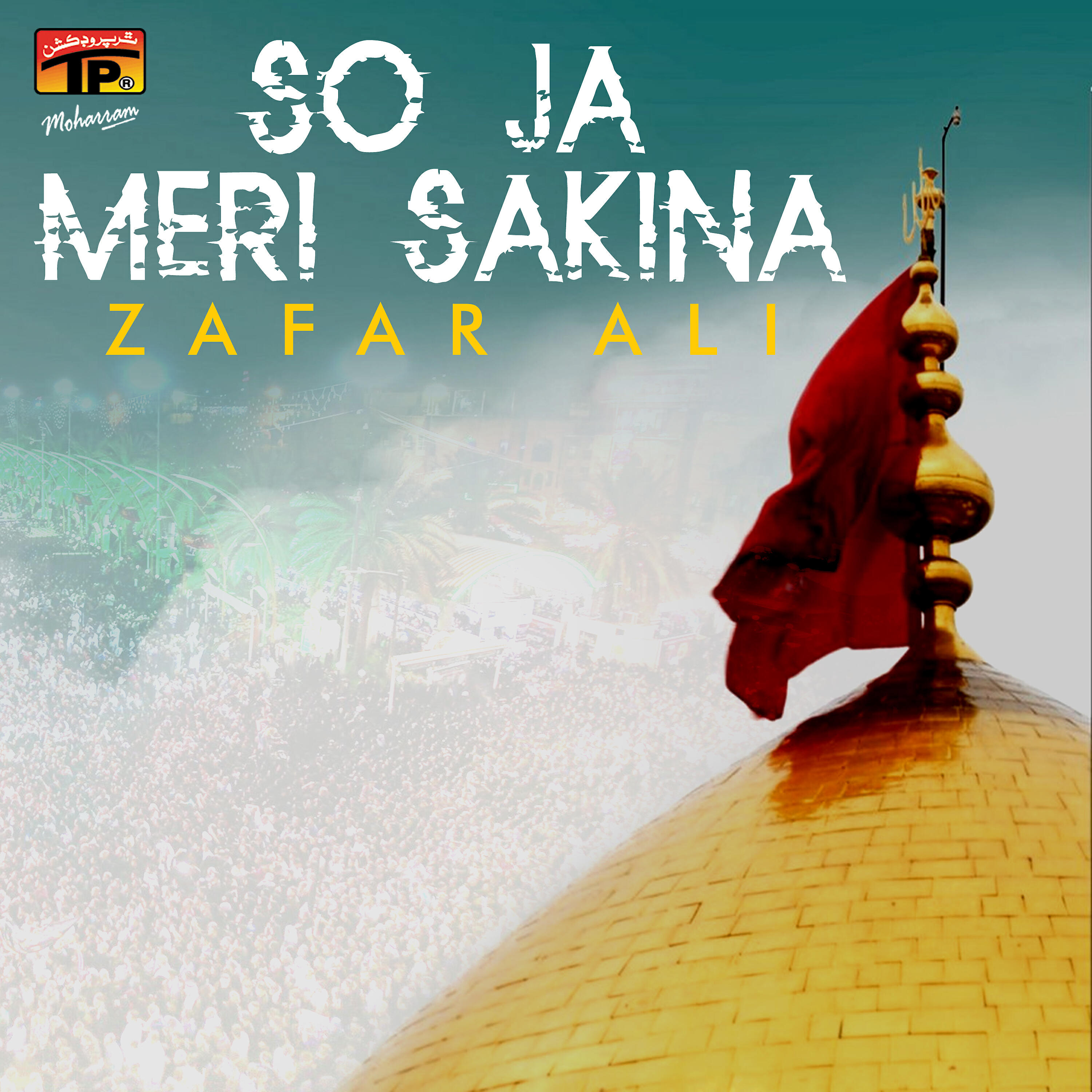 Zafar Ali - Qaidi Mera Imam