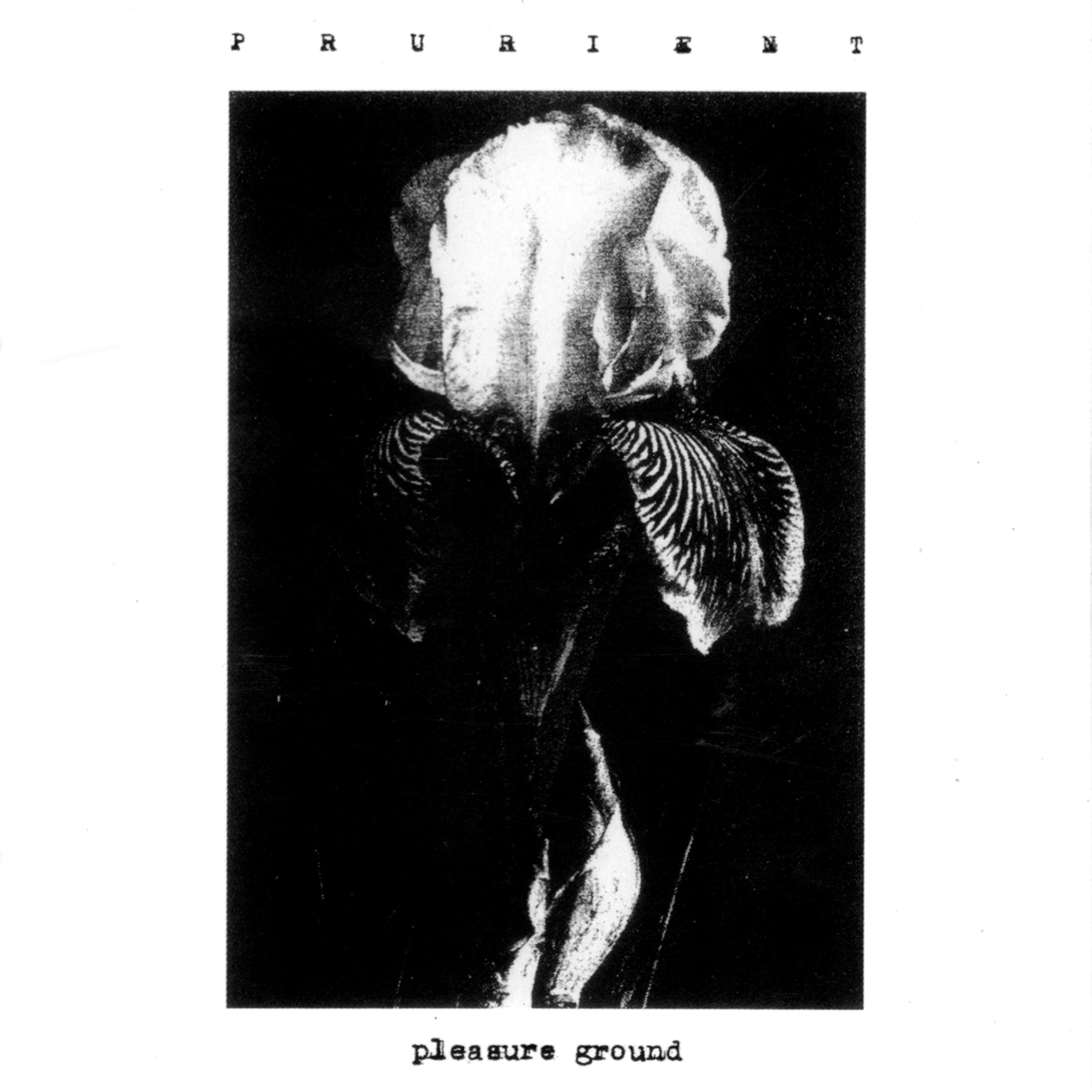 Постер альбома Pleasure Ground