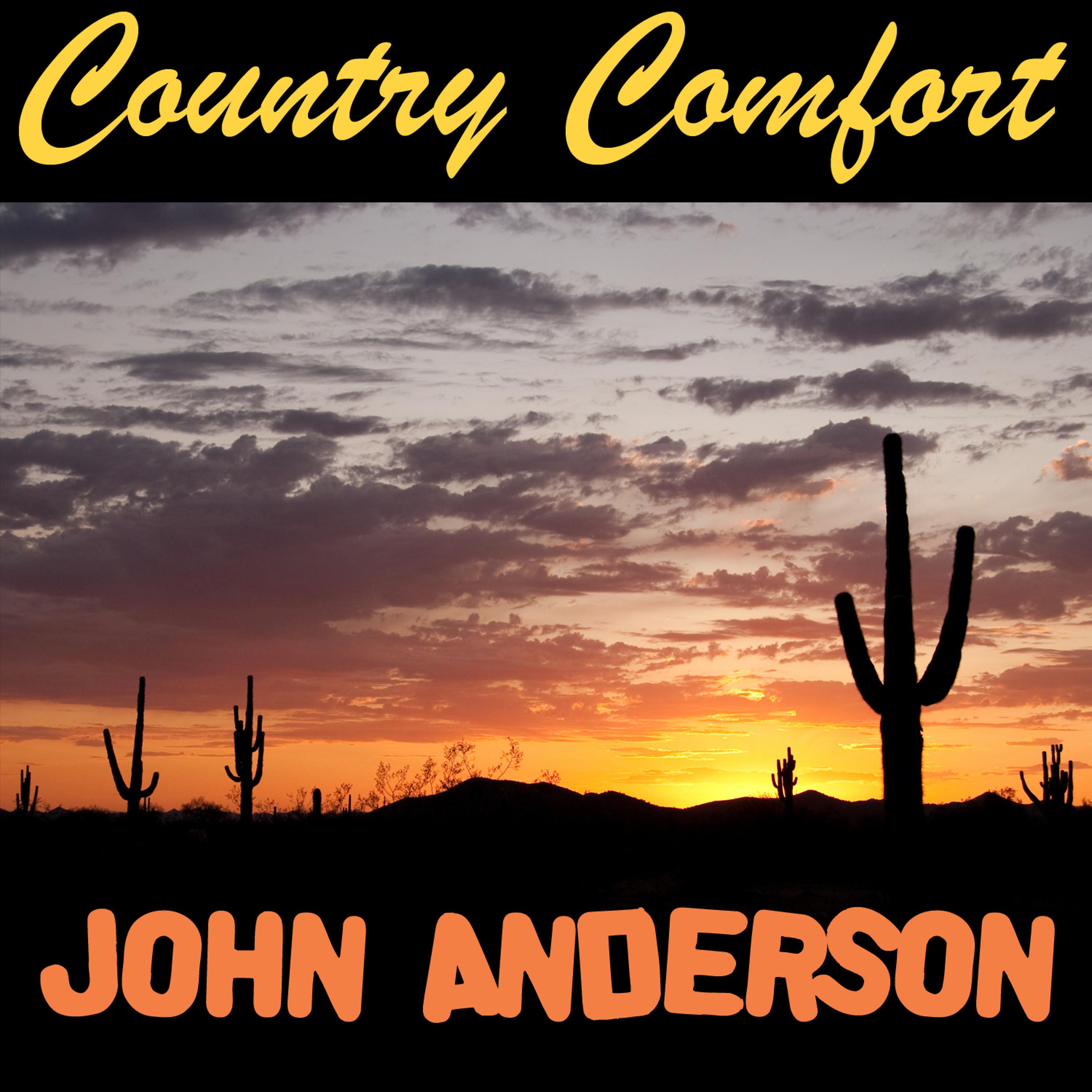 Постер альбома Country Comfort