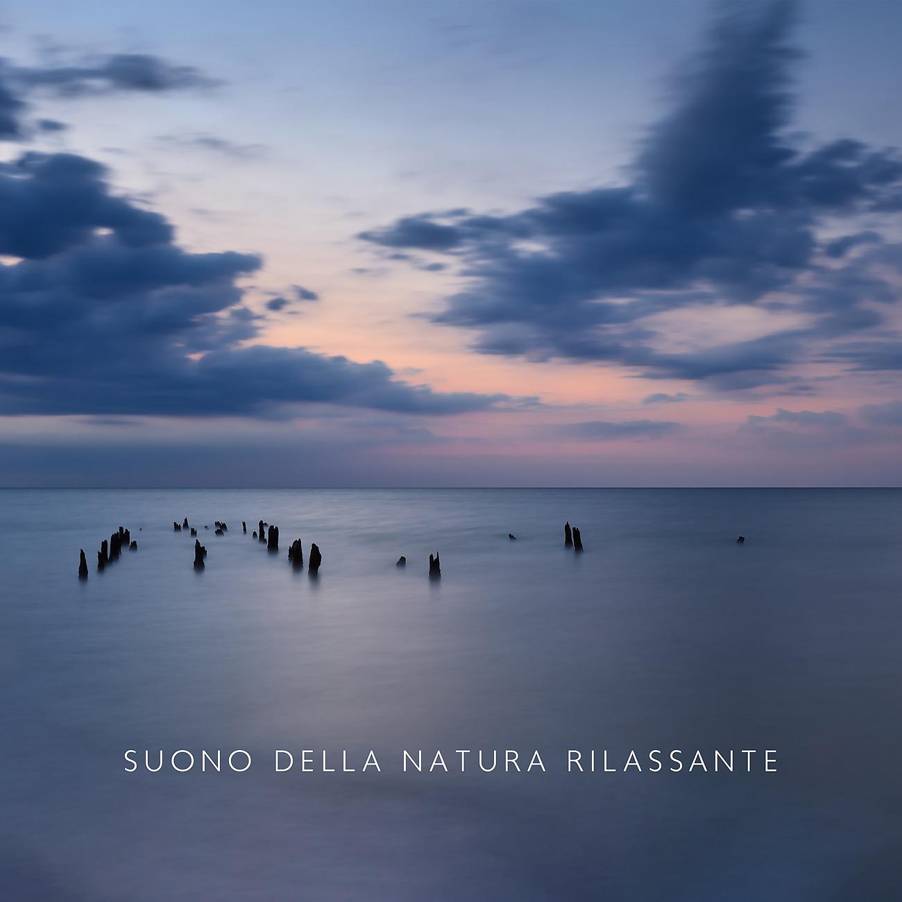 Постер альбома Suono della Natura Rilassante per il Livello di Stress Zero