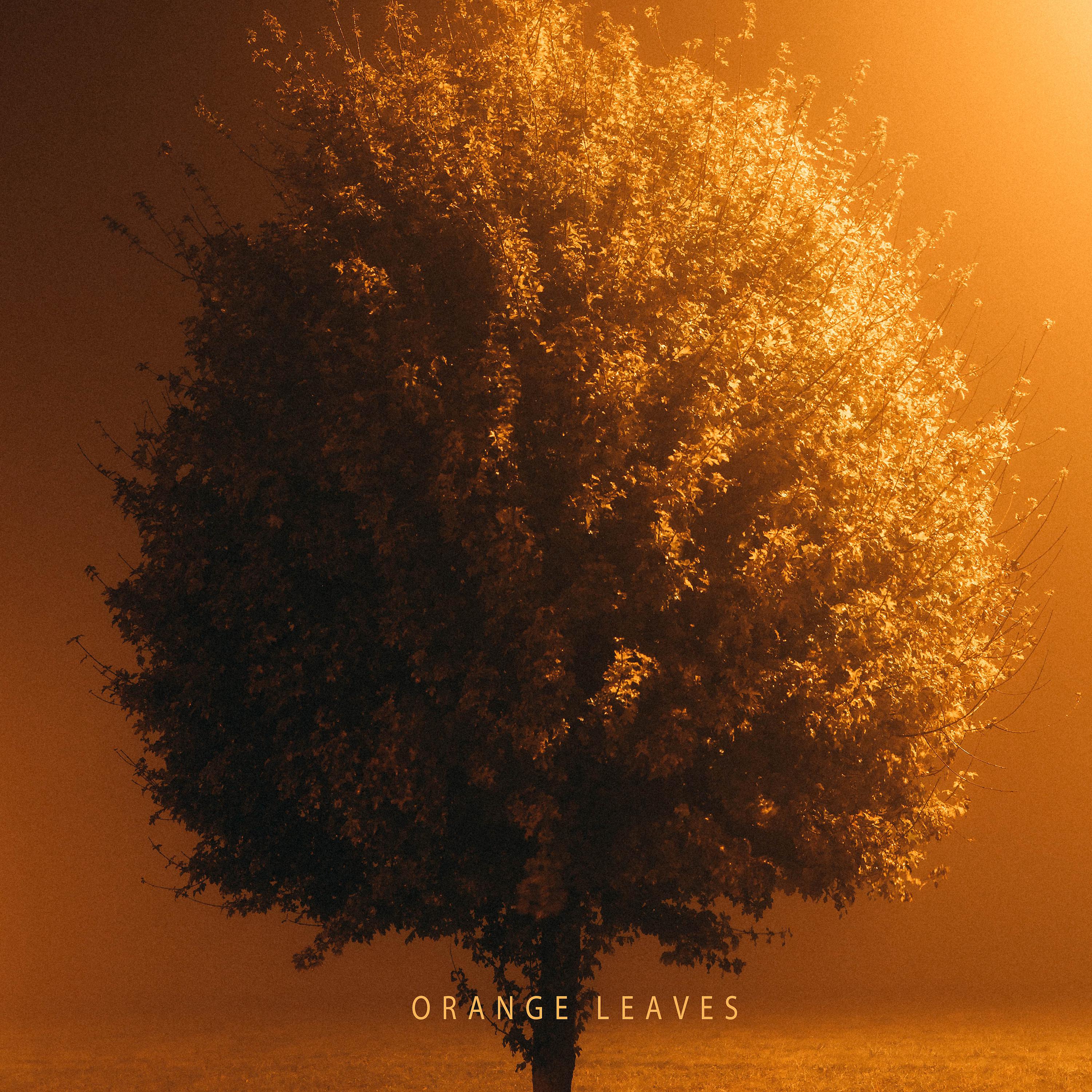 Постер альбома Orange Leaves