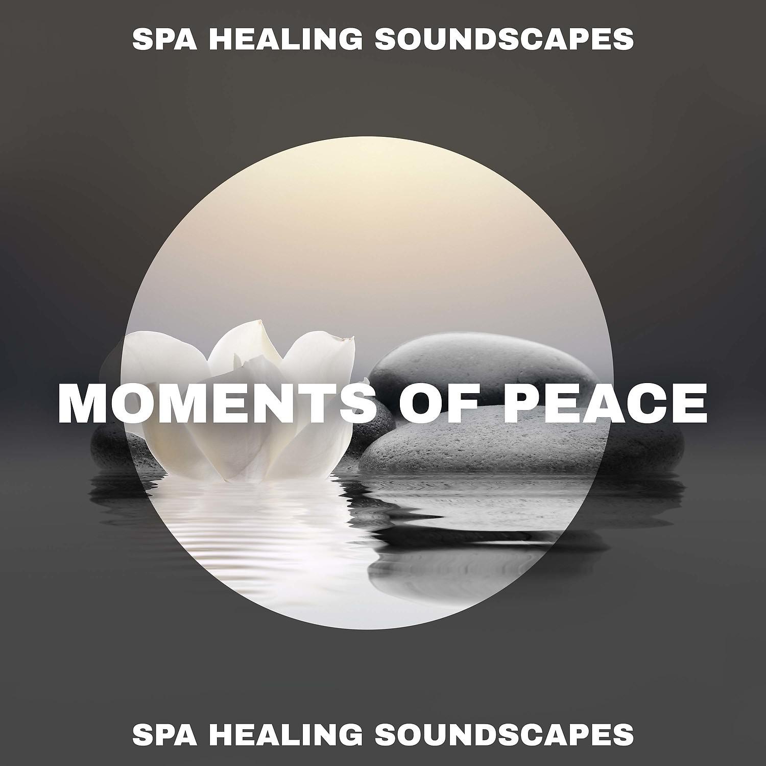 Постер альбома Moments of Peace - Spa Healing Soundscapes, Ambient Music for Massage and Spa Treatments, Deep Relaxation Music Therapy
