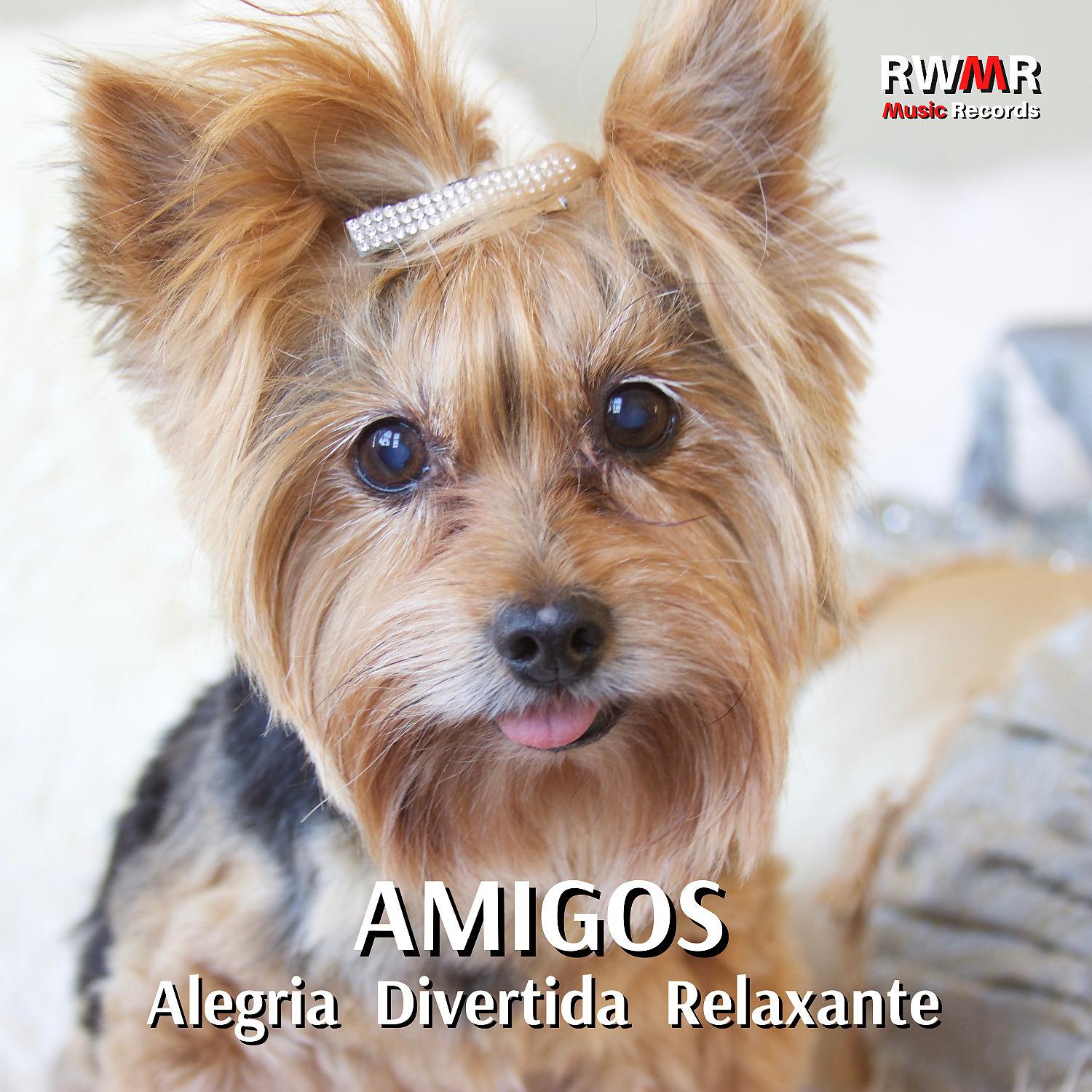 Постер альбома Amigos - Alegria, diversão, relaxamento, música instrumental para cães, cachorrinho feliz, ruído branco de fundo, canções para animais