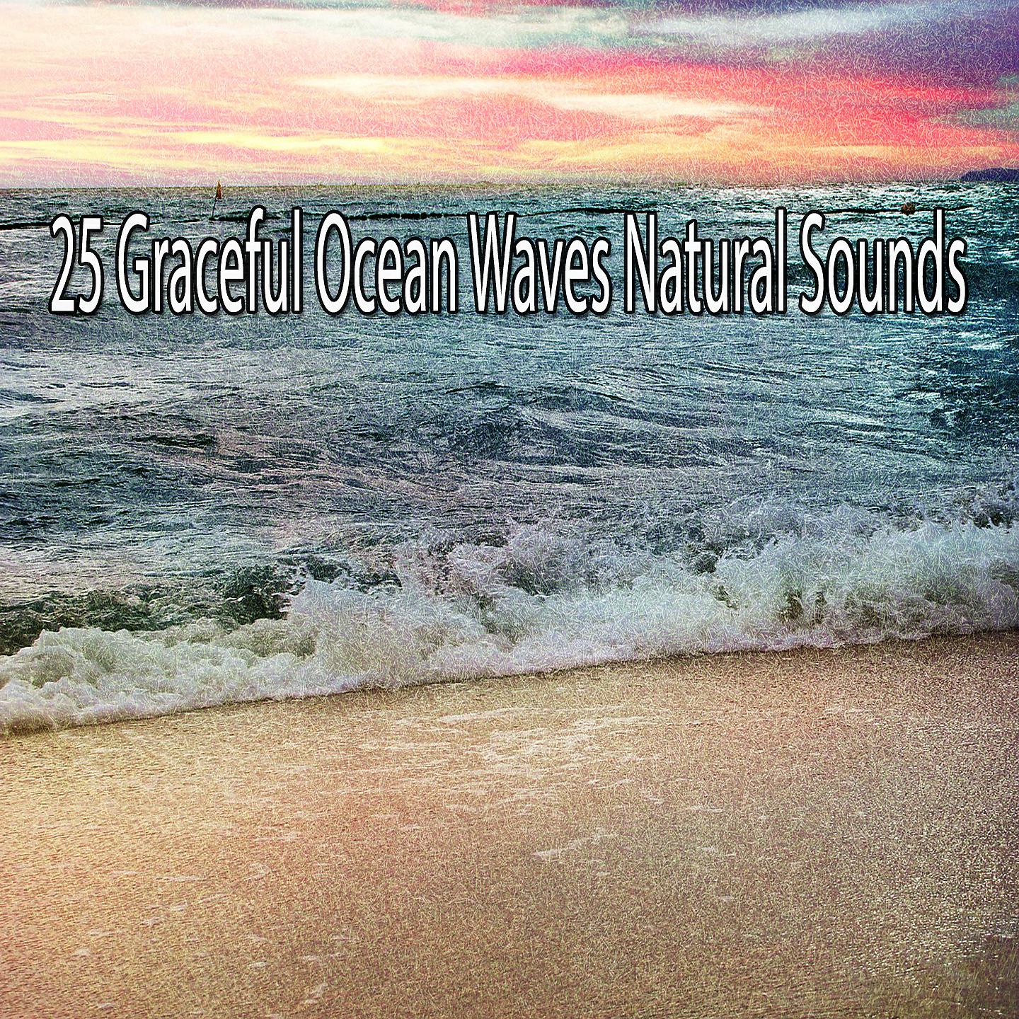 Постер альбома 25 естественных звуков изящных океанских волн