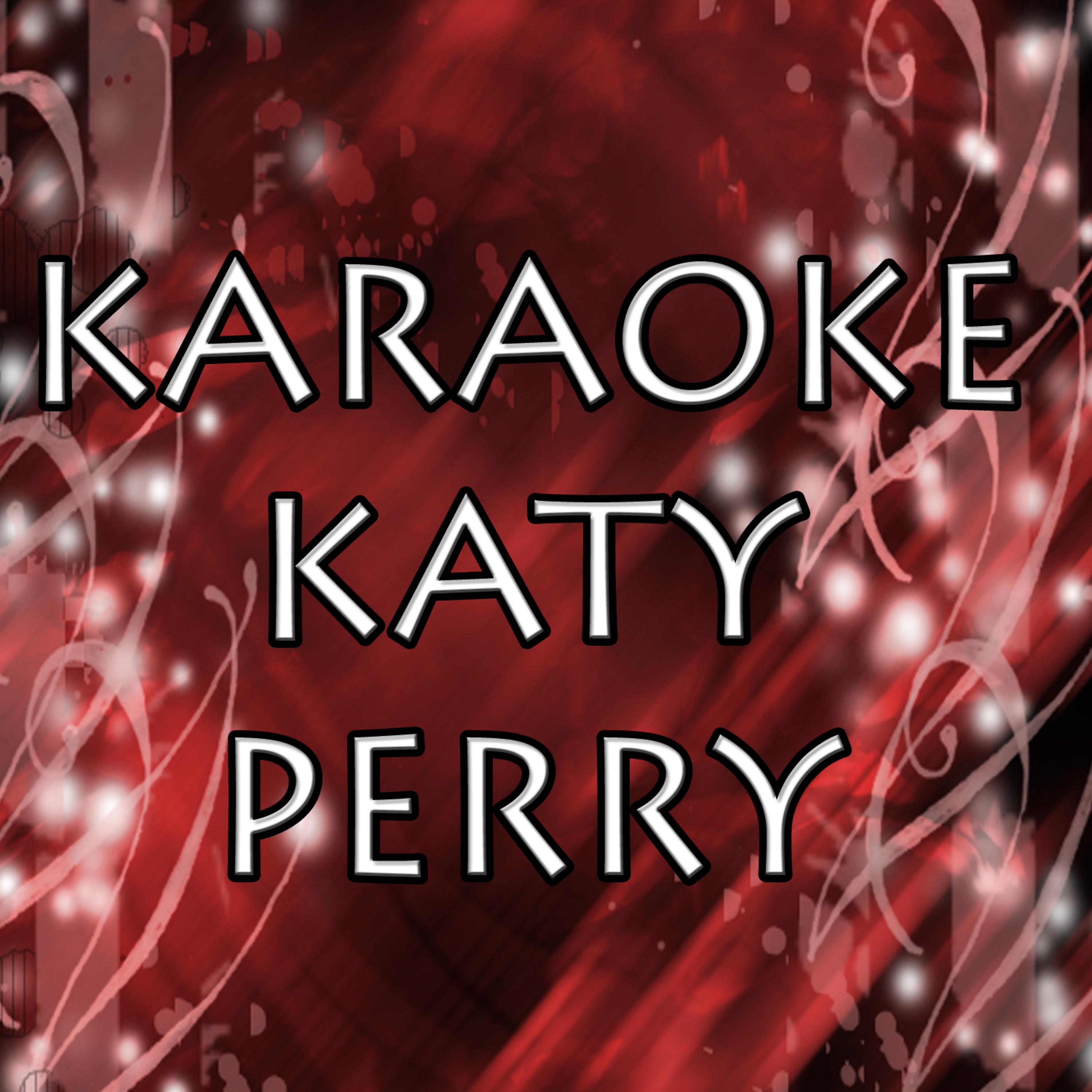 Постер альбома Katy Perry Karaoke