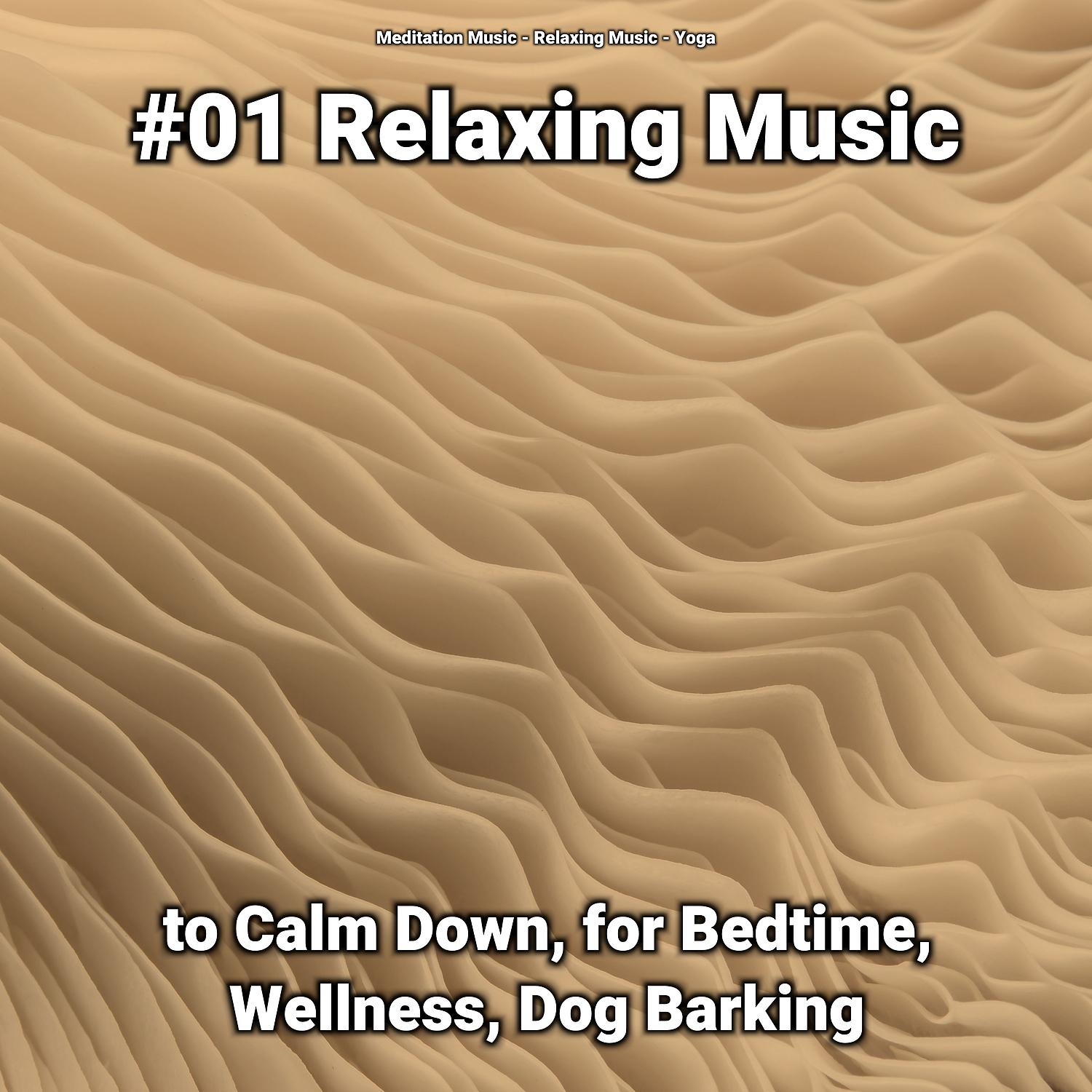Постер альбома #01 Relaxing Music to Calm Down, for Bedtime, Wellness, Dog Barking