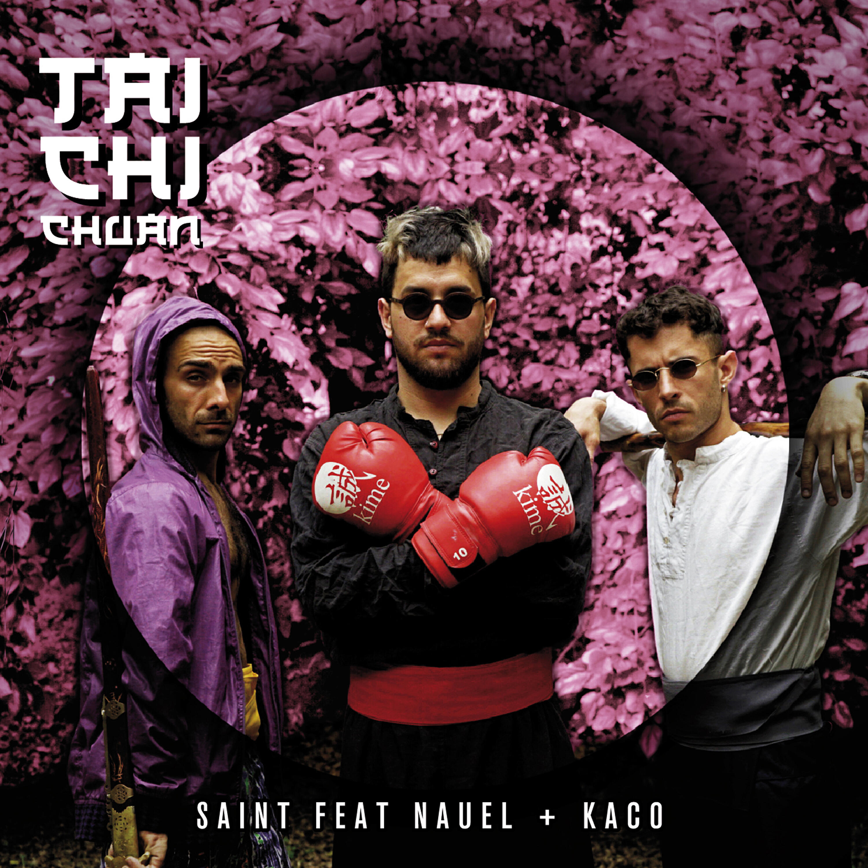 SAINT - Tai Chi Chuan