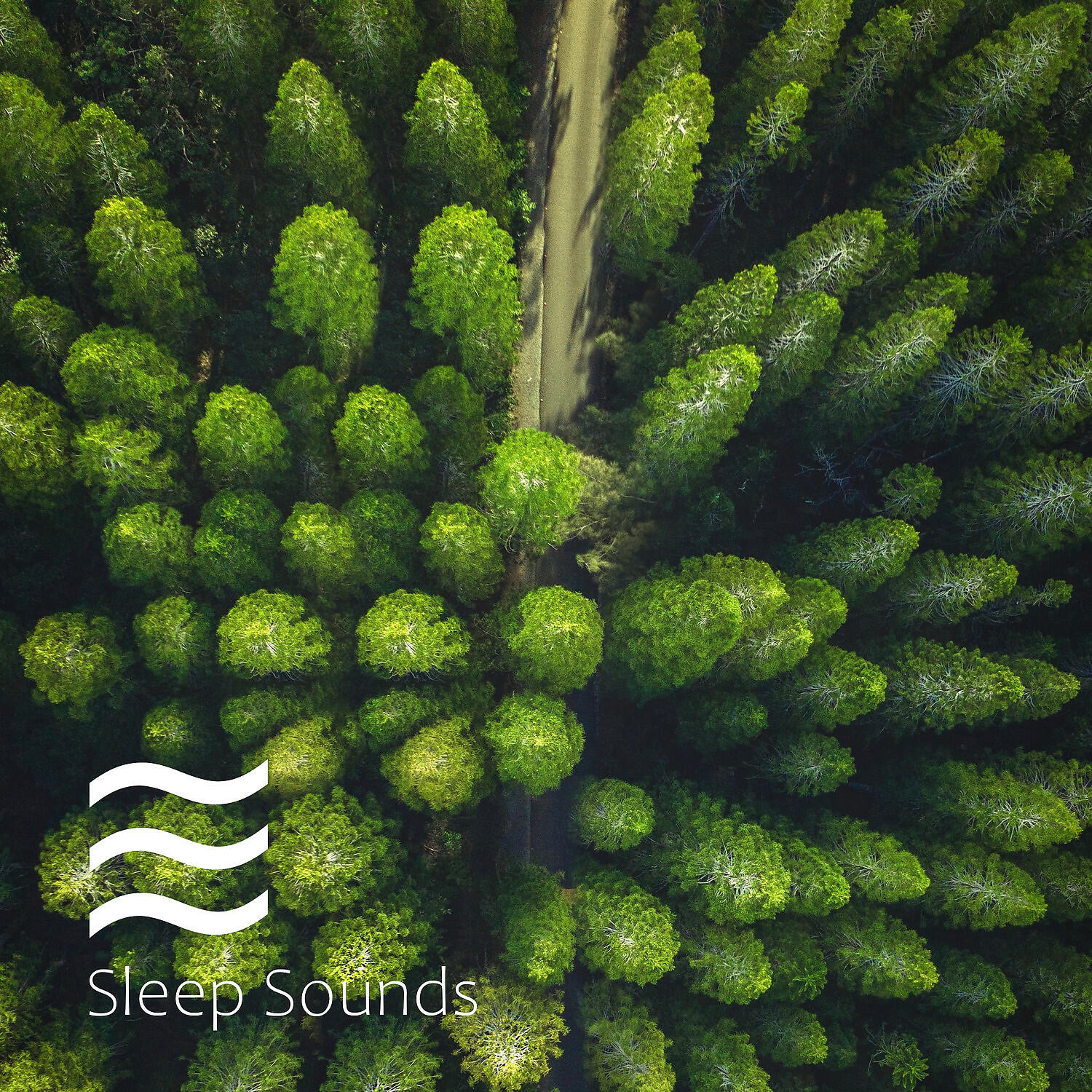 Melatonin Nature - Placid Sober Noise for Sleep