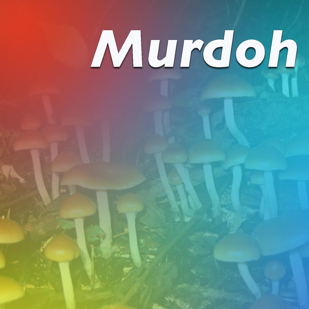 Постер альбома Murdoh
