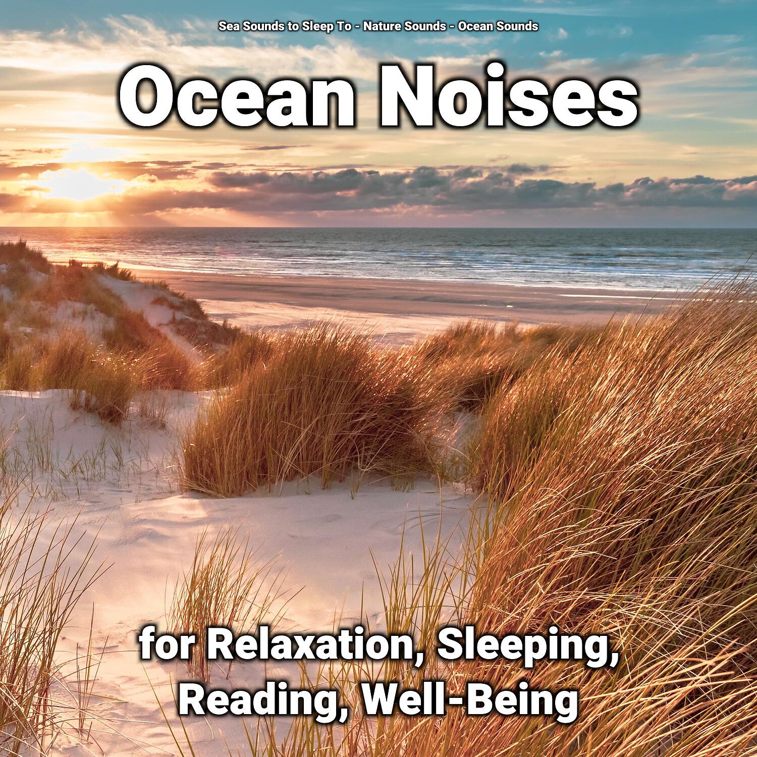 Sea Sounds to Sleep To - Water Soundscapes to Relax Your Mind