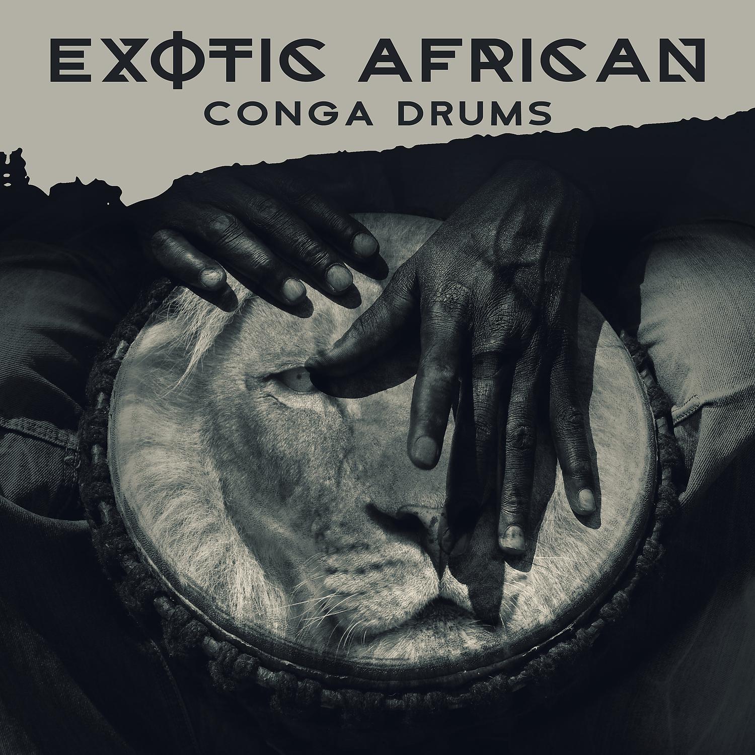 Постер альбома Exotic African Conga Drums: Tribal Music for Relaxation & Afro Percussion