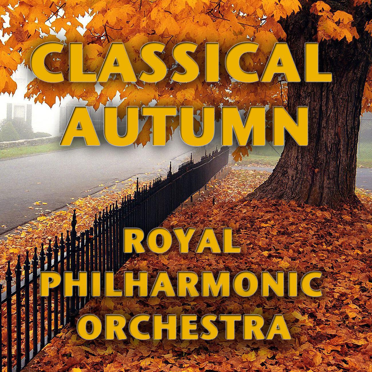 Royal Philharmonic Orchestra - The Mission (The Mission)