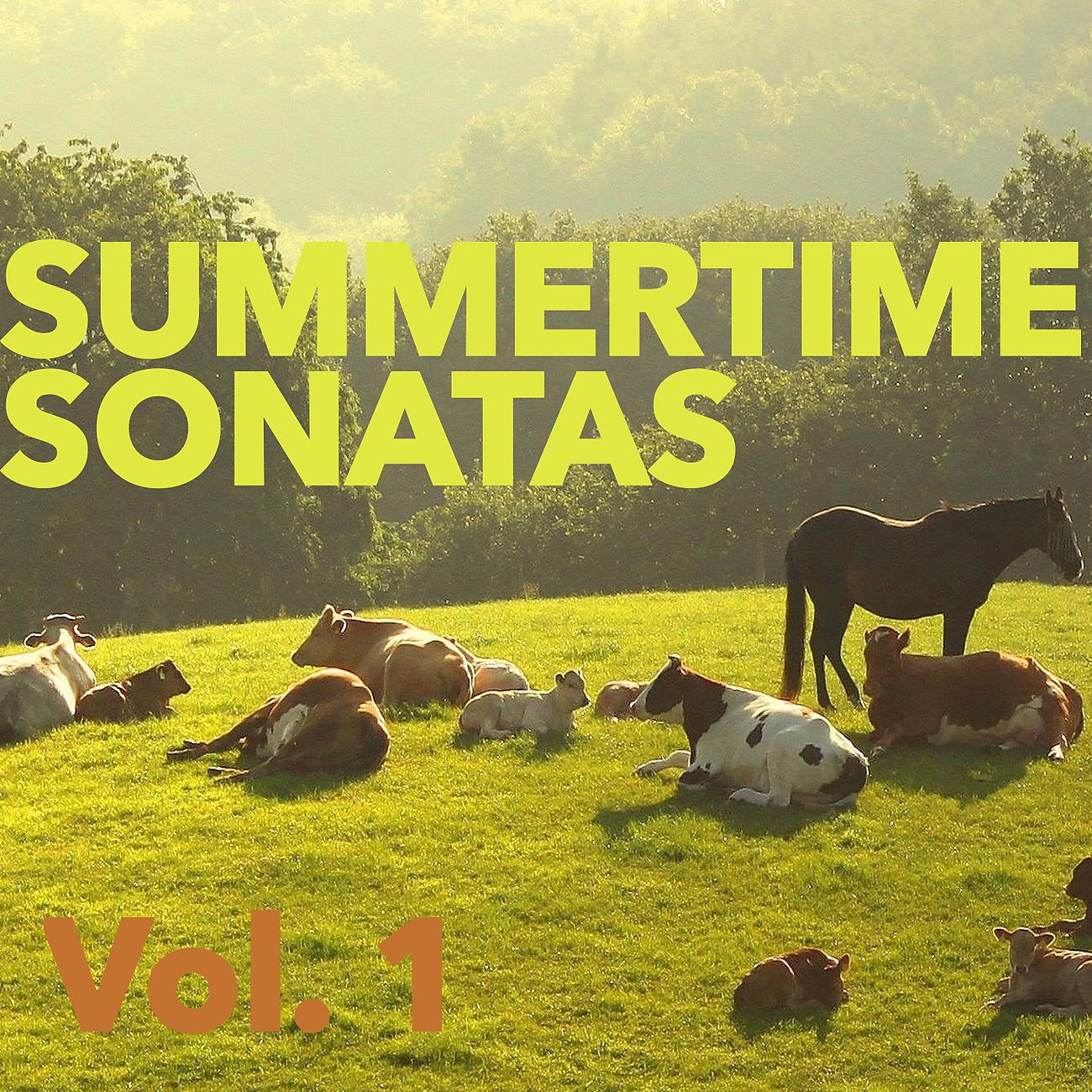 Постер альбома Summertime Sonatas, Vol. 1