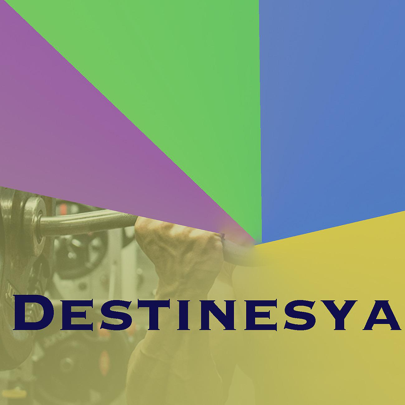 Постер альбома Destinesya