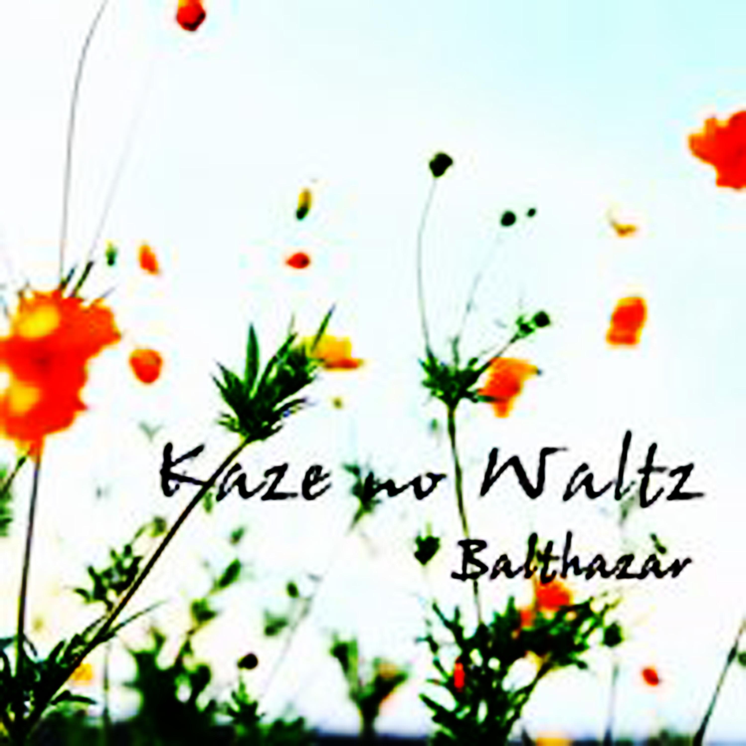 Постер альбома Kaze no Waltz