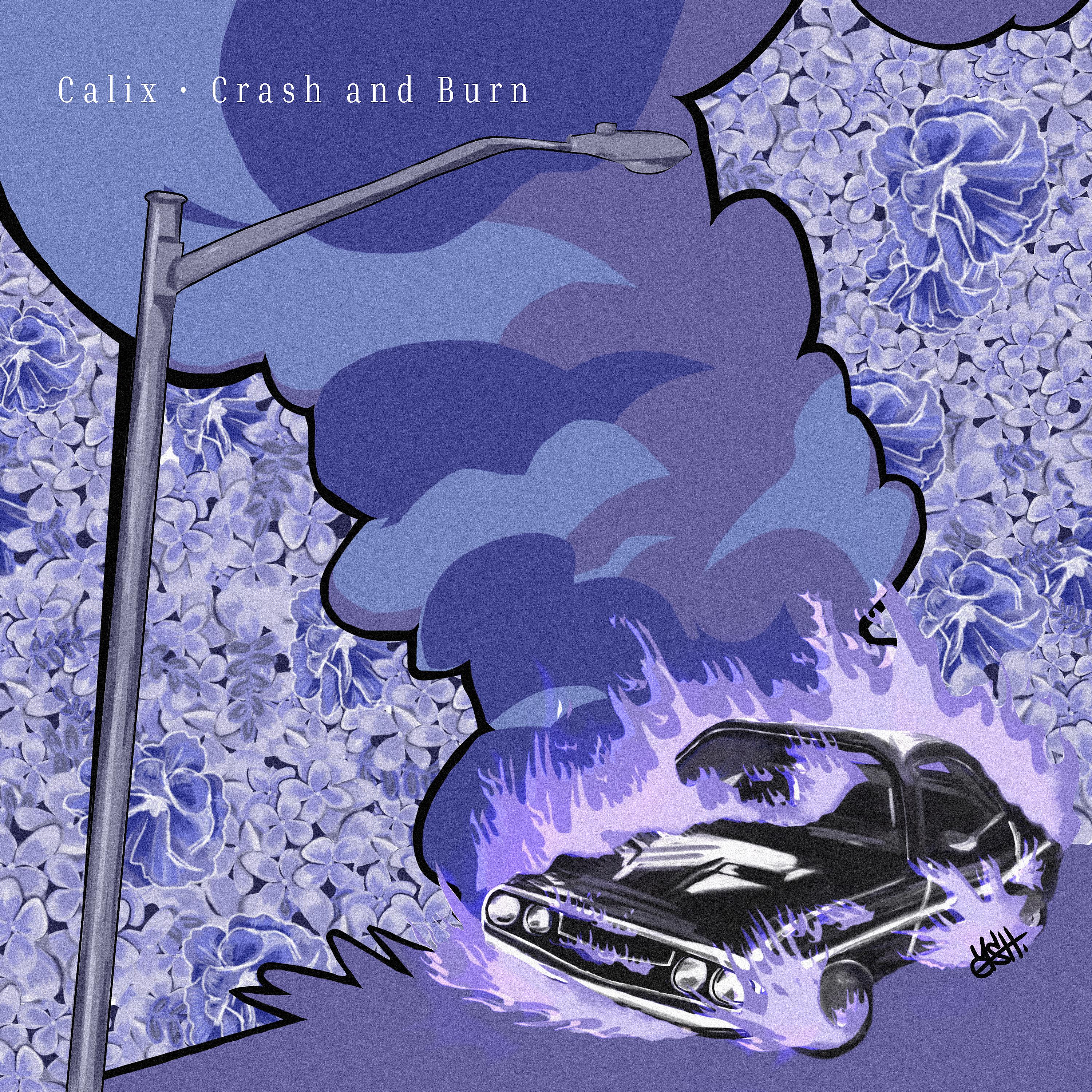 Постер альбома Crash and Burn
