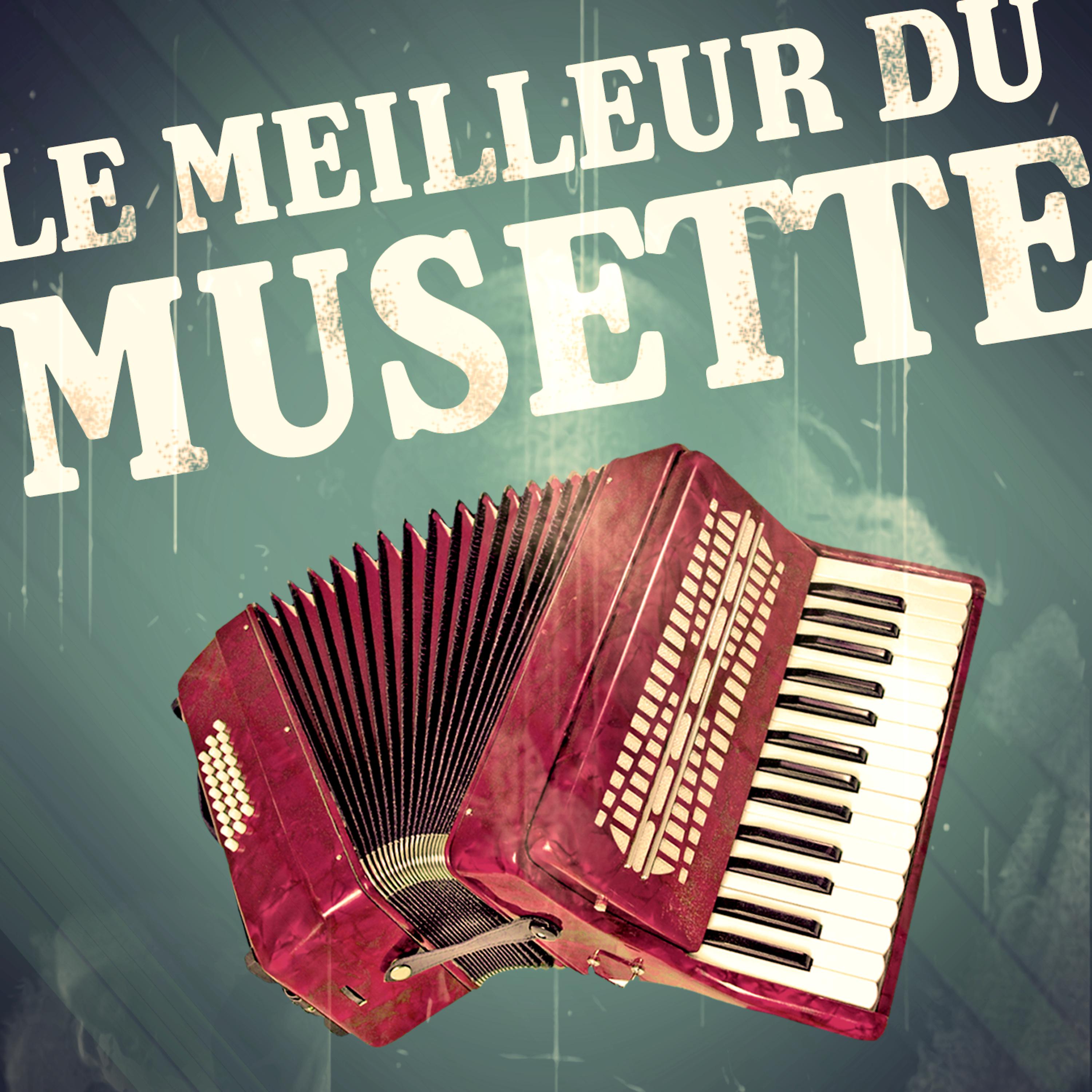 Постер альбома Le Meilleur Du Musette